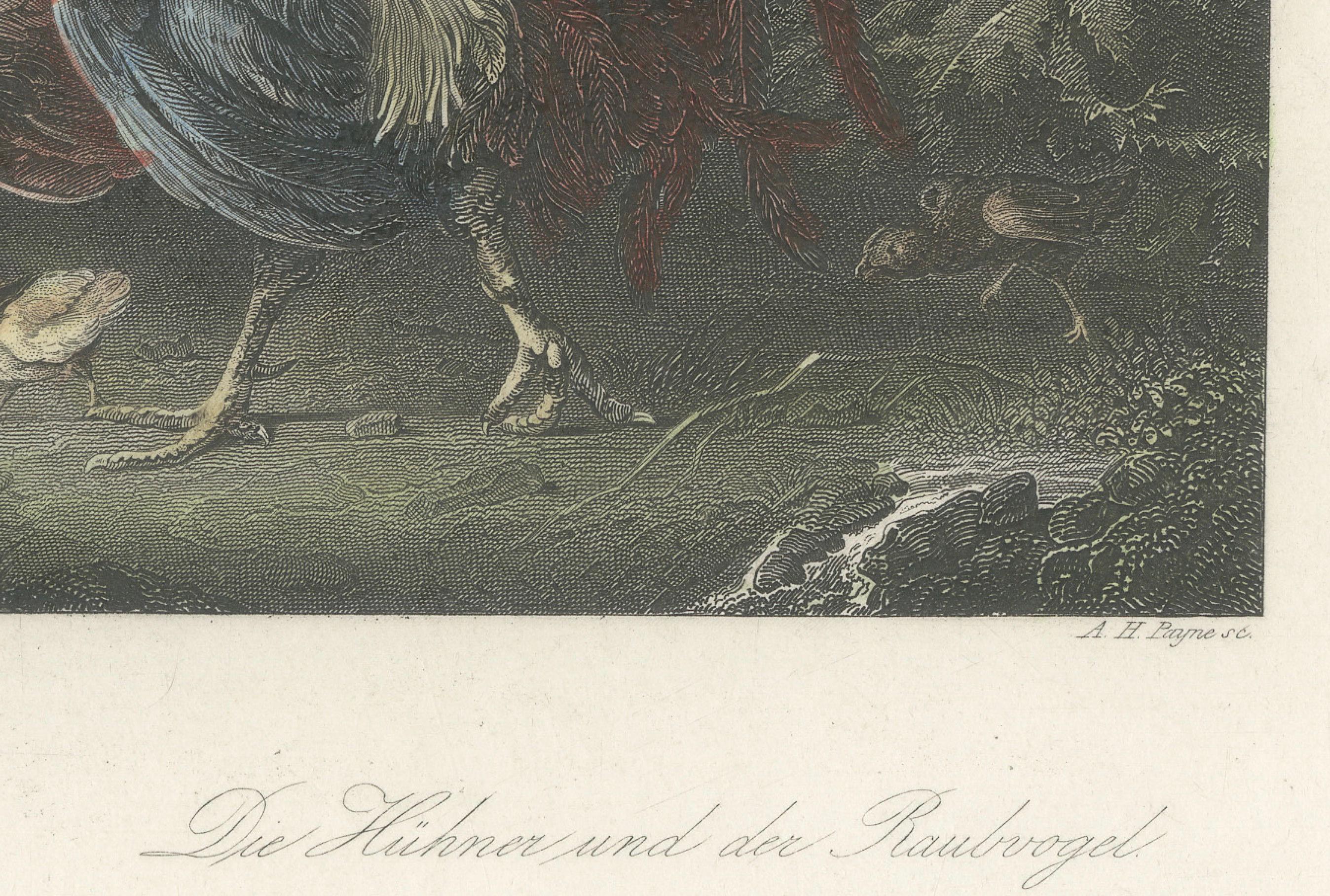 Defending the Flock: The Poultry's Stand Against the Hawk, handkoloriert um 1860 im Zustand „Gut“ im Angebot in Langweer, NL