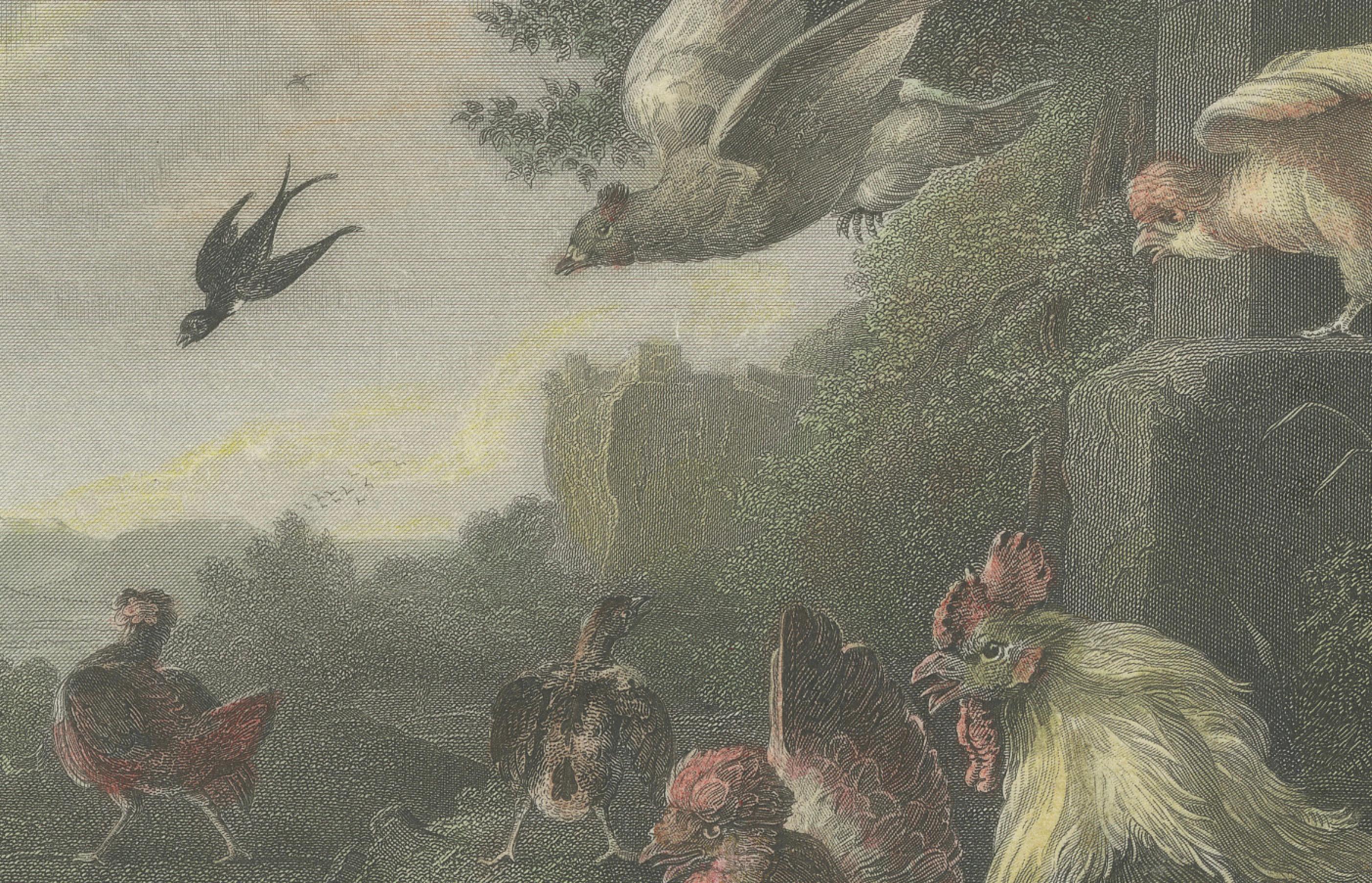 Defending the Flock: The Poultry's Stand Against the Hawk, handkoloriert um 1860 (Mittleres 19. Jahrhundert) im Angebot