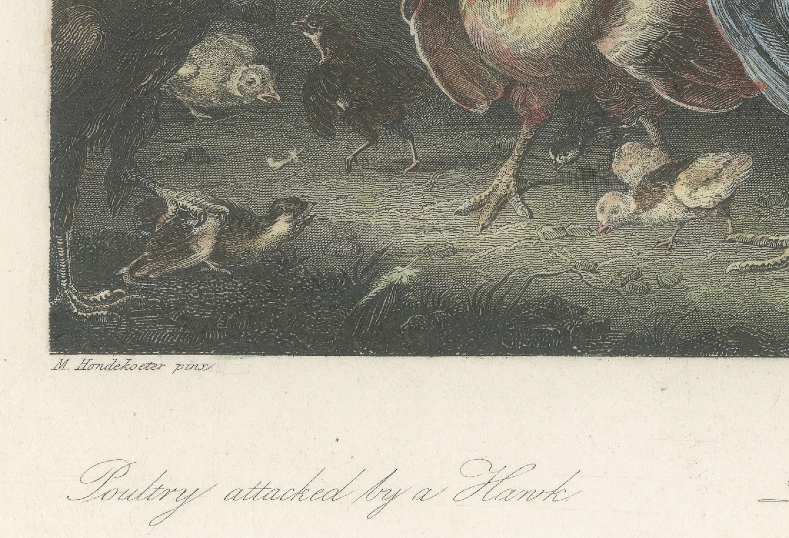 Defending the Flock: The Poultry's Stand Against the Hawk, handkoloriert um 1860 (Papier) im Angebot