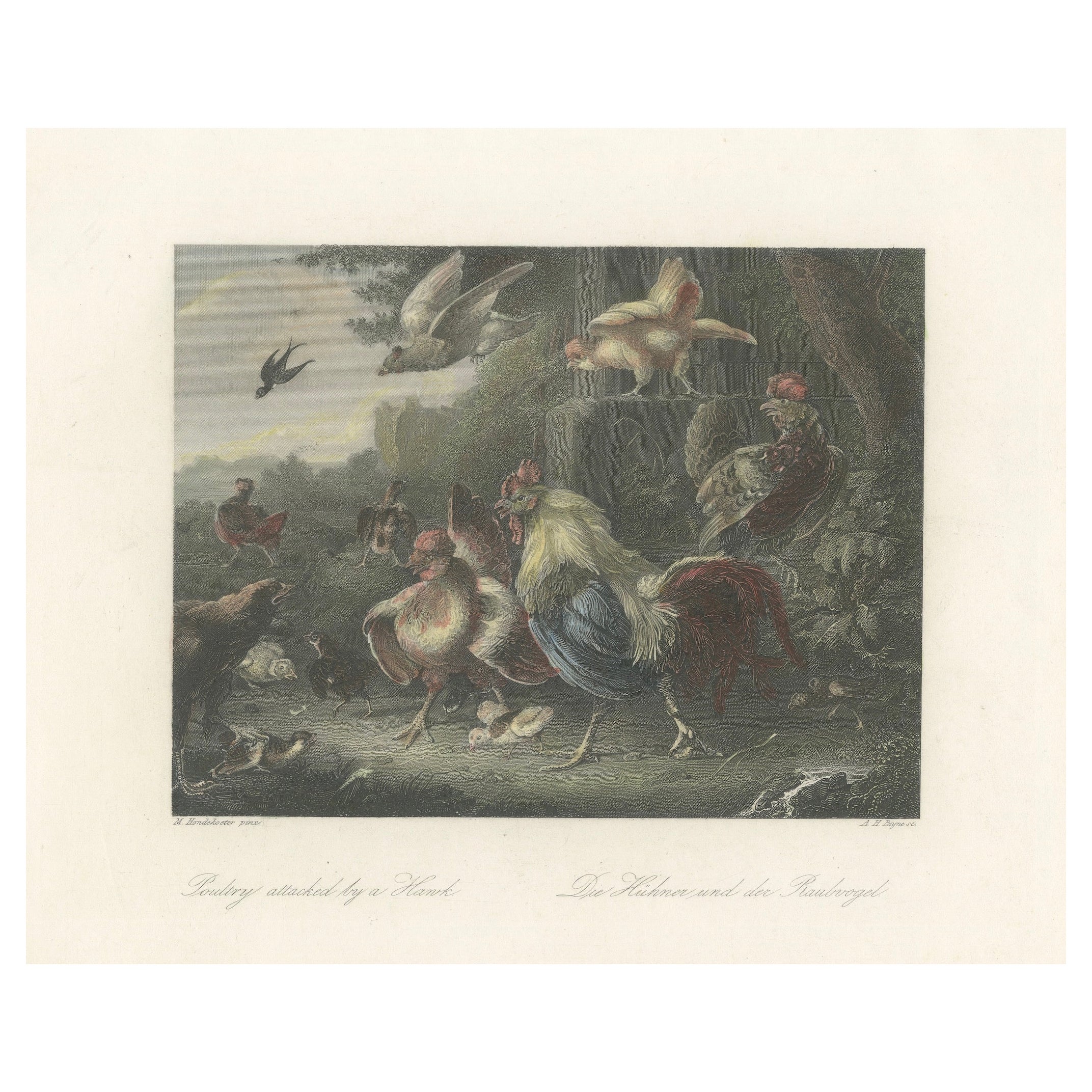Defending the Flock: The Poultry's Stand Against the Hawk, Hand-colored ca.1860 For Sale