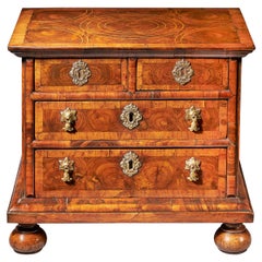 Diminutive 17th Century William and Mary Olive Oyster Miniature Chest of Drawers