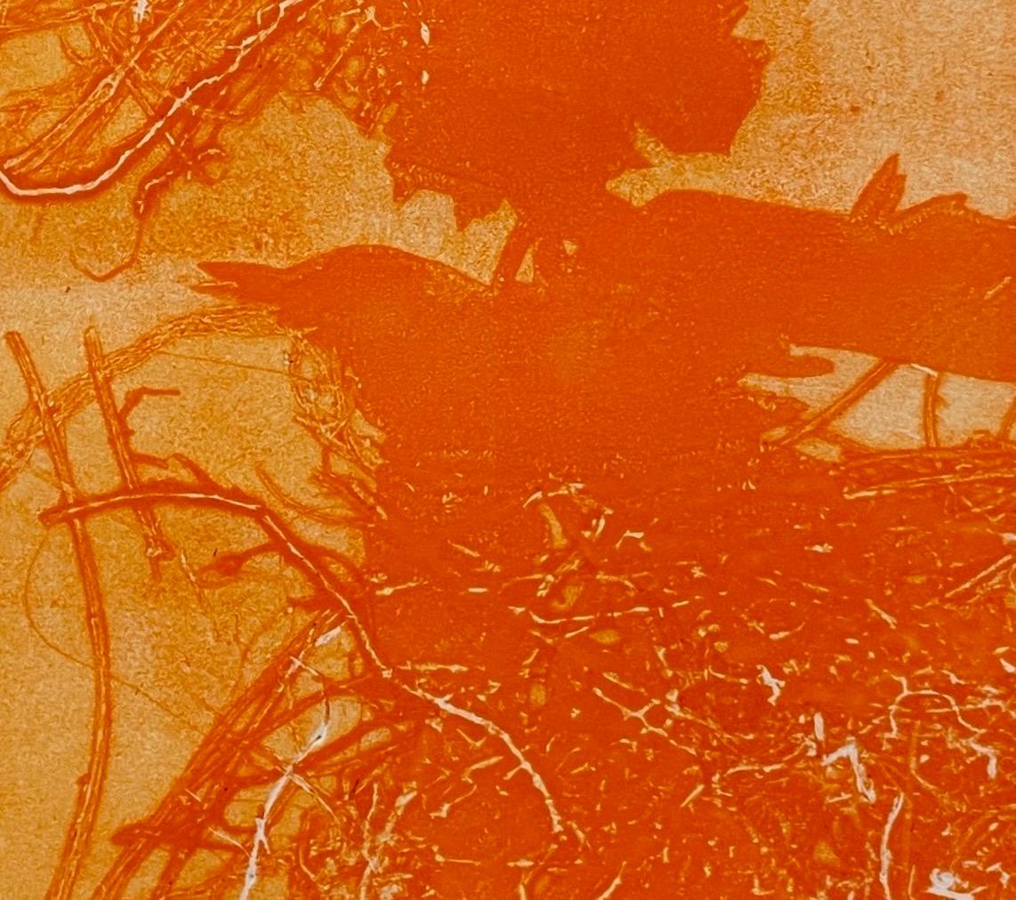 Flirtation: one-of-a kind monoprint of abstract bird in nest in orange - Painting by Deirdre Murphy
