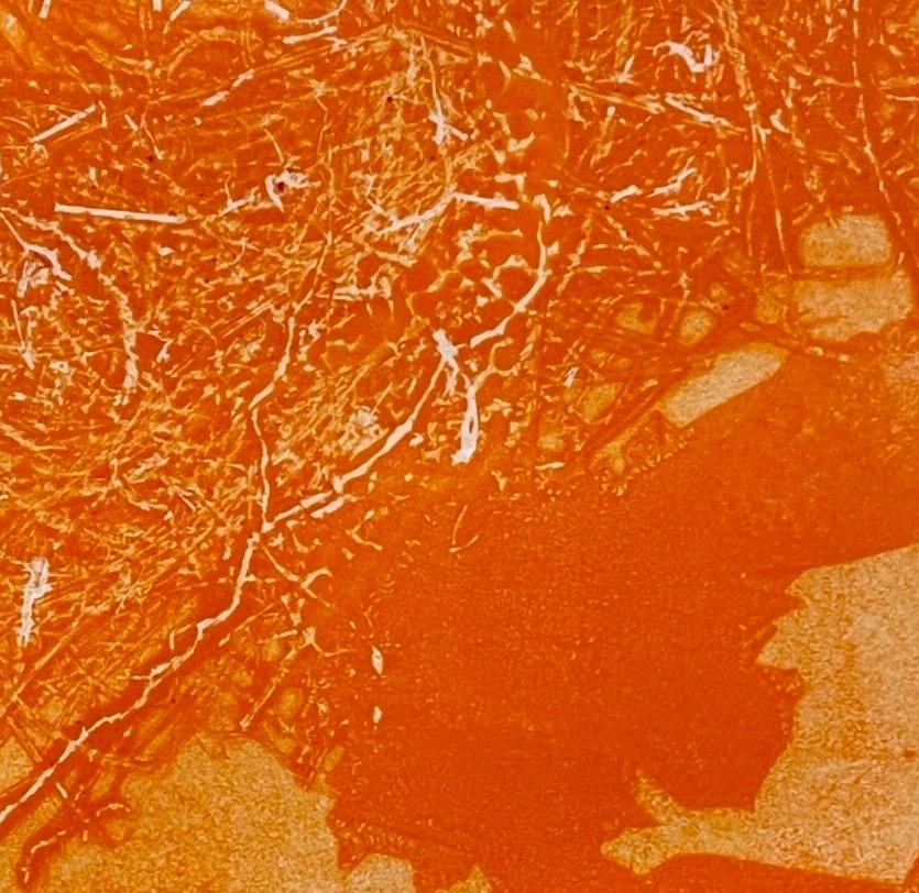 Flirtation: einzigartiger Monodruck eines abstrakten Vogels in einem orangefarbenen Neckholder (Abstrakt), Painting, von Deirdre Murphy