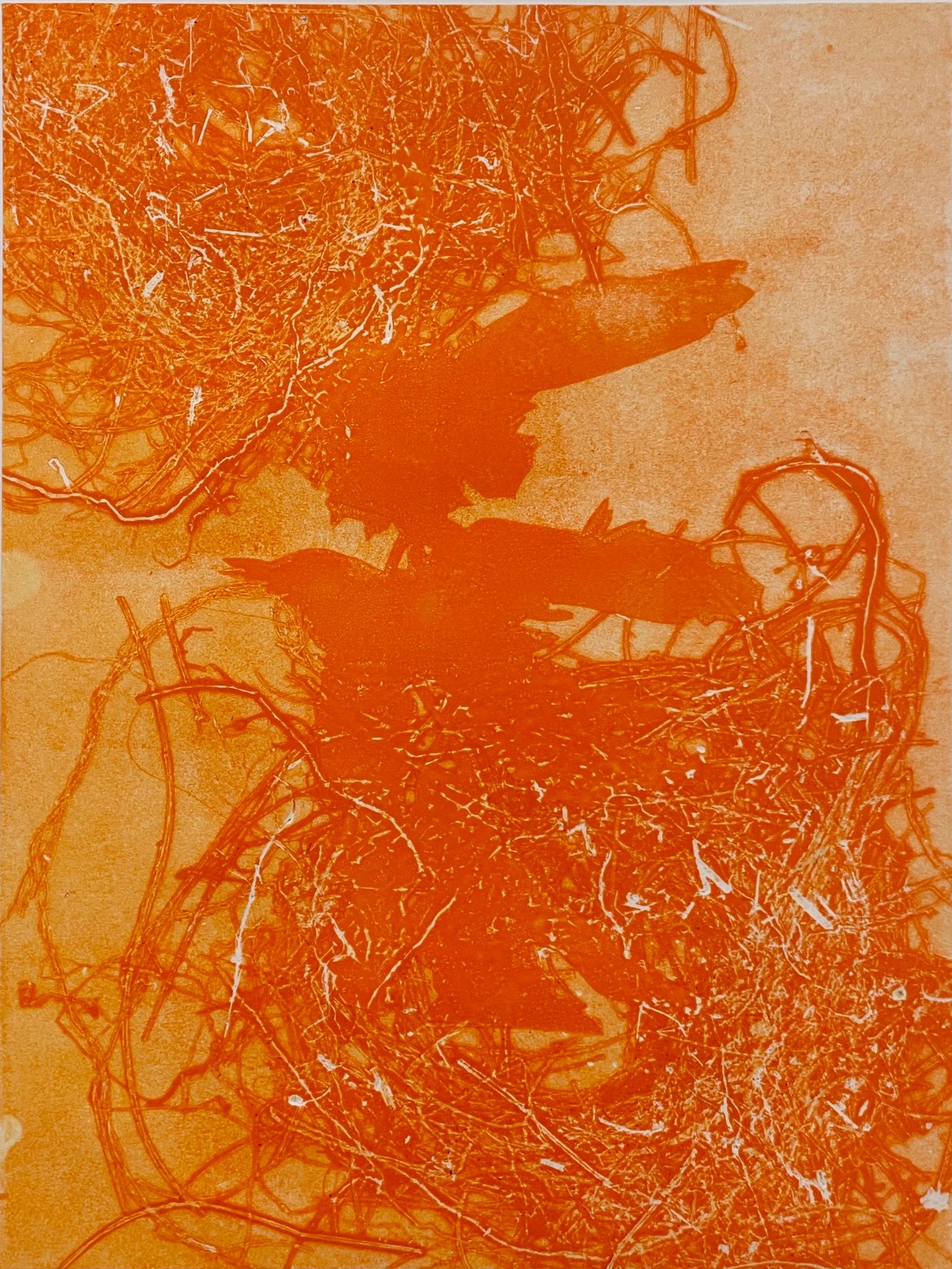Deirdre Murphy Abstract Painting - Flirtation: one-of-a kind monoprint of abstract bird in nest in orange