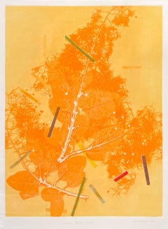 Framed one-of-a kind botanical ink monoprint w/ collage, abstract orange flowers