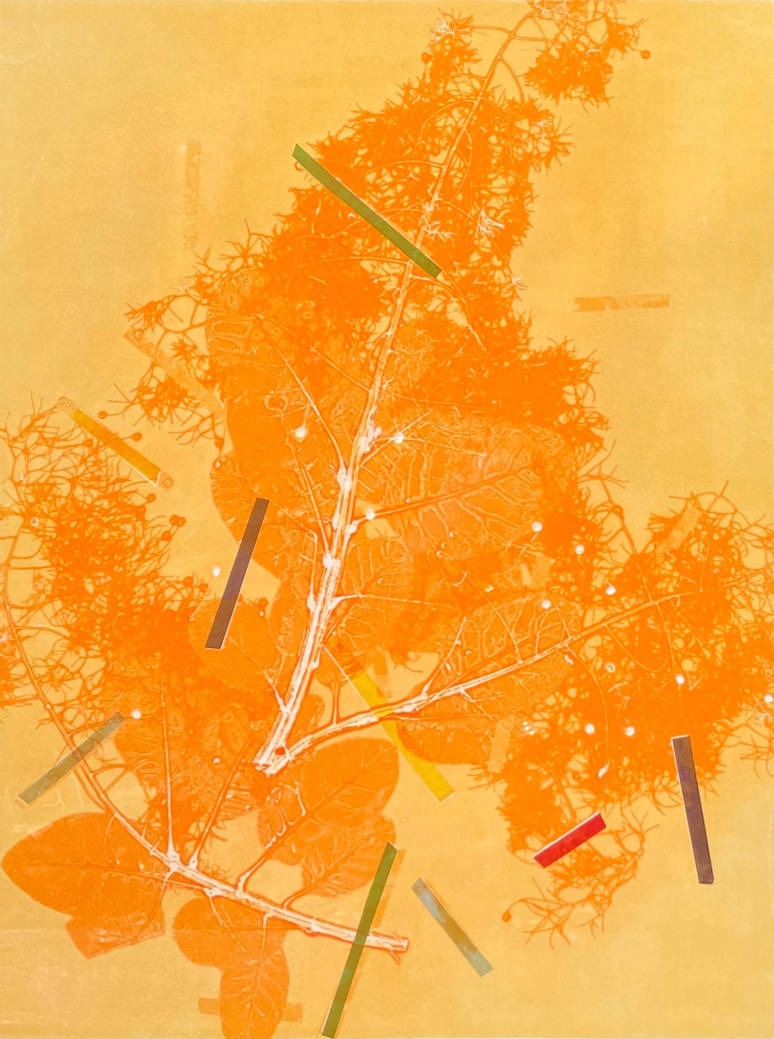 Framed one-of-a kind botanical ink monoprint w/ collage, abstract orange flowers