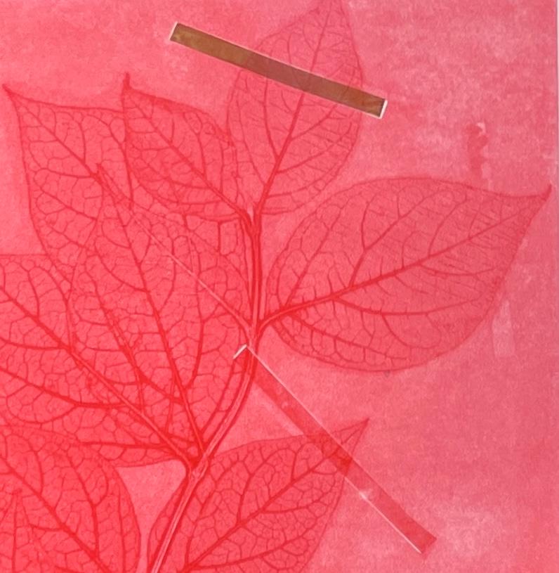 Framed one-of-a kind botanical ink monoprint w/ collage & abstract pink flowers - Pink Abstract Print by Deirdre Murphy