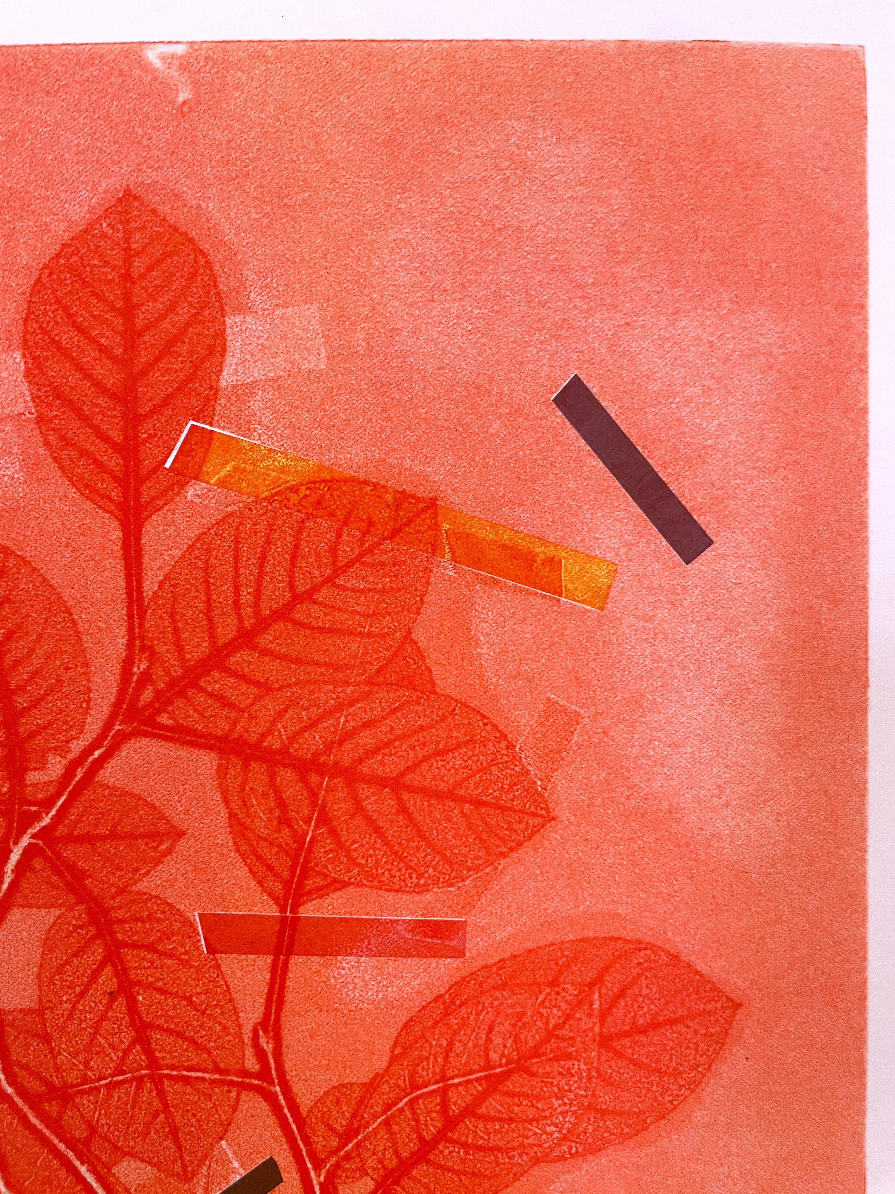 Gerahmtes, einzigartiges botanisches Tinten-Monoprint mit Collage, abstrakte rosa Blätter (Orange), Abstract Painting, von Deirdre Murphy