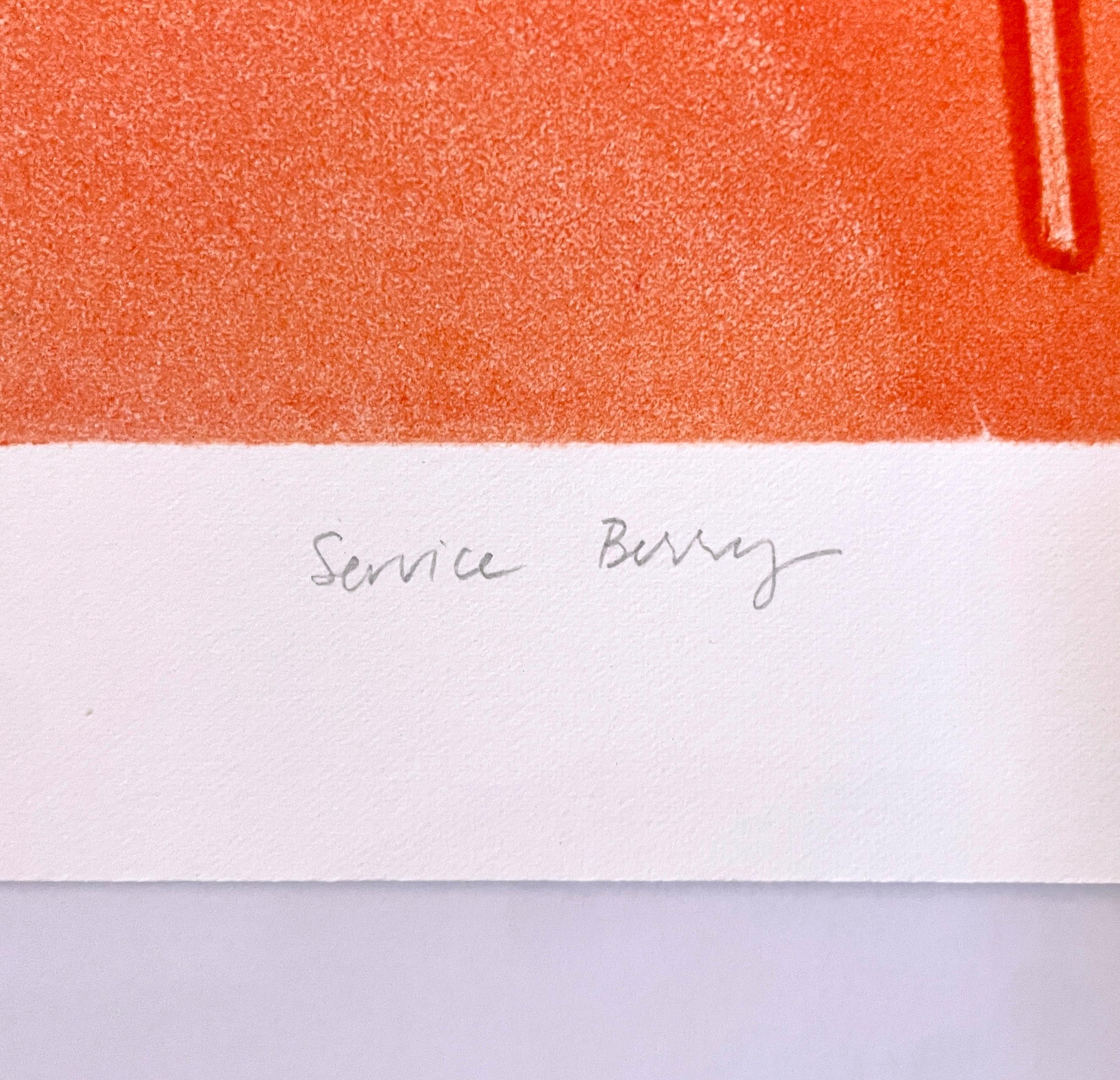 Gerahmtes, einzigartiges botanisches Tinten-Monoprint mit Collage, abstrakte rosa Blätter im Angebot 4