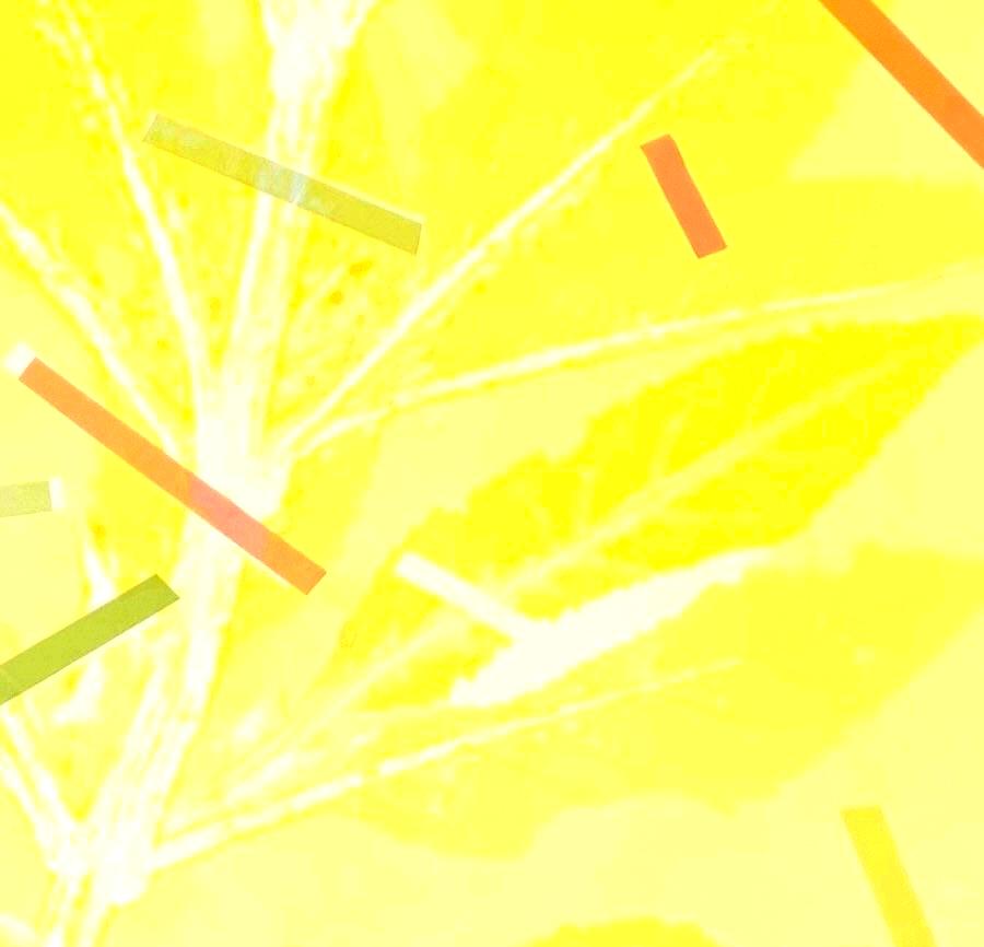 Framed one-of-a kind botanical ink monoprint w/ collage & abstract yellow leaves For Sale 5