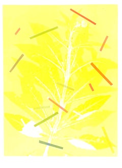 Framed one-of-a kind botanical ink monoprint w/ collage & abstract yellow leaves