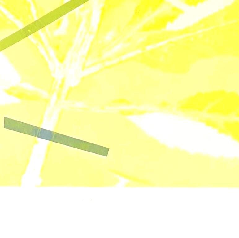 Framed one-of-a kind botanical ink monoprint w/ collage & abstract yellow leaves - Yellow Still-Life Print by Deirdre Murphy