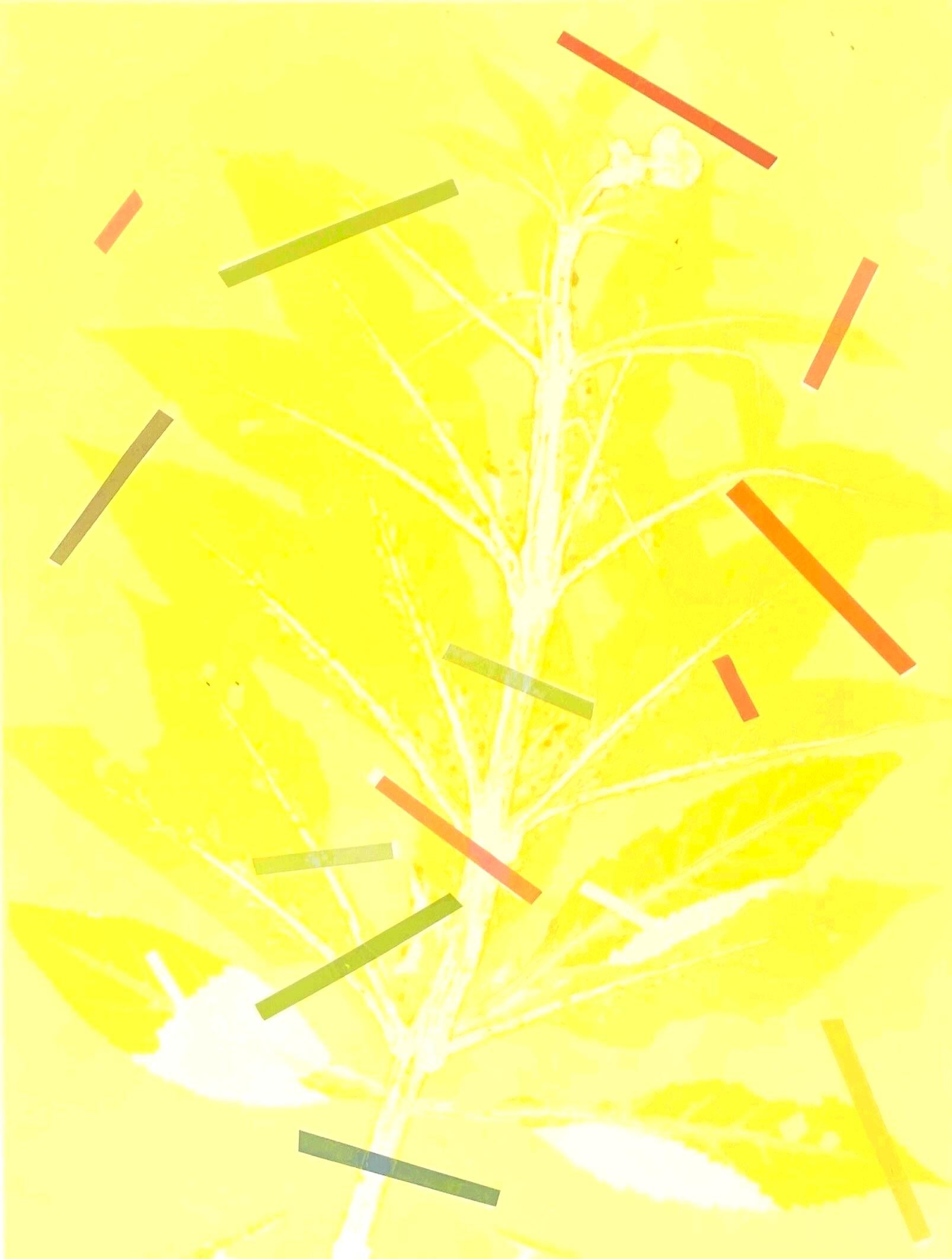 Framed one-of-a kind botanical ink monoprint w/ collage & abstract yellow leaves For Sale 1