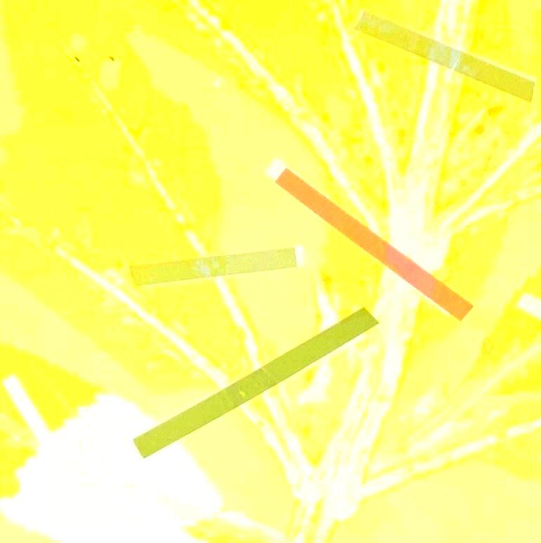 Framed one-of-a kind botanical ink monoprint w/ collage & abstract yellow leaves For Sale 2