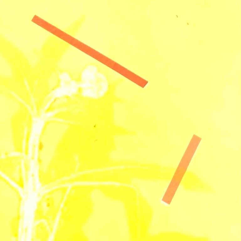 Framed one-of-a kind botanical ink monoprint w/ collage & abstract yellow leaves For Sale 3