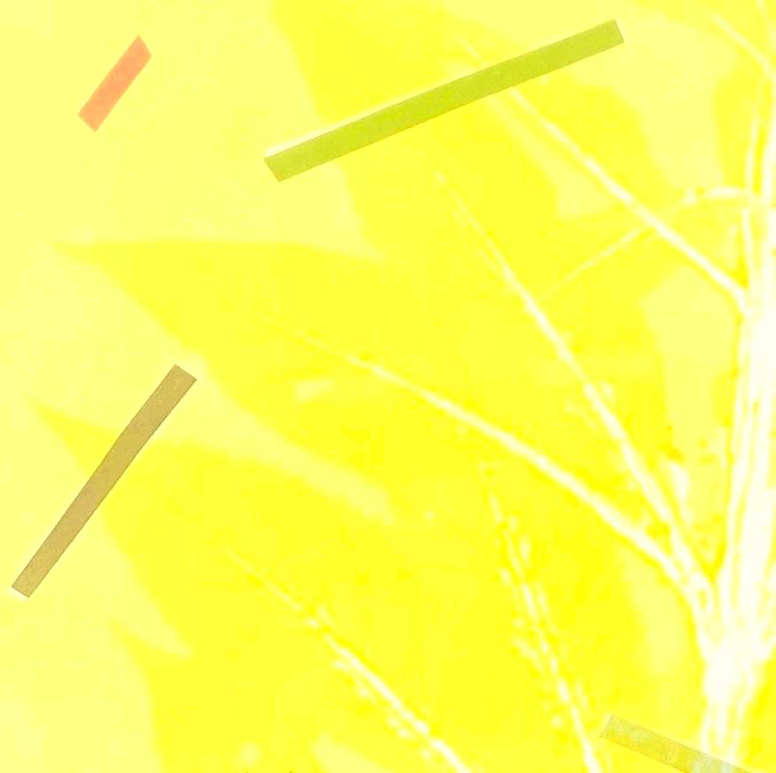 Framed one-of-a kind botanical ink monoprint w/ collage & abstract yellow leaves For Sale 4