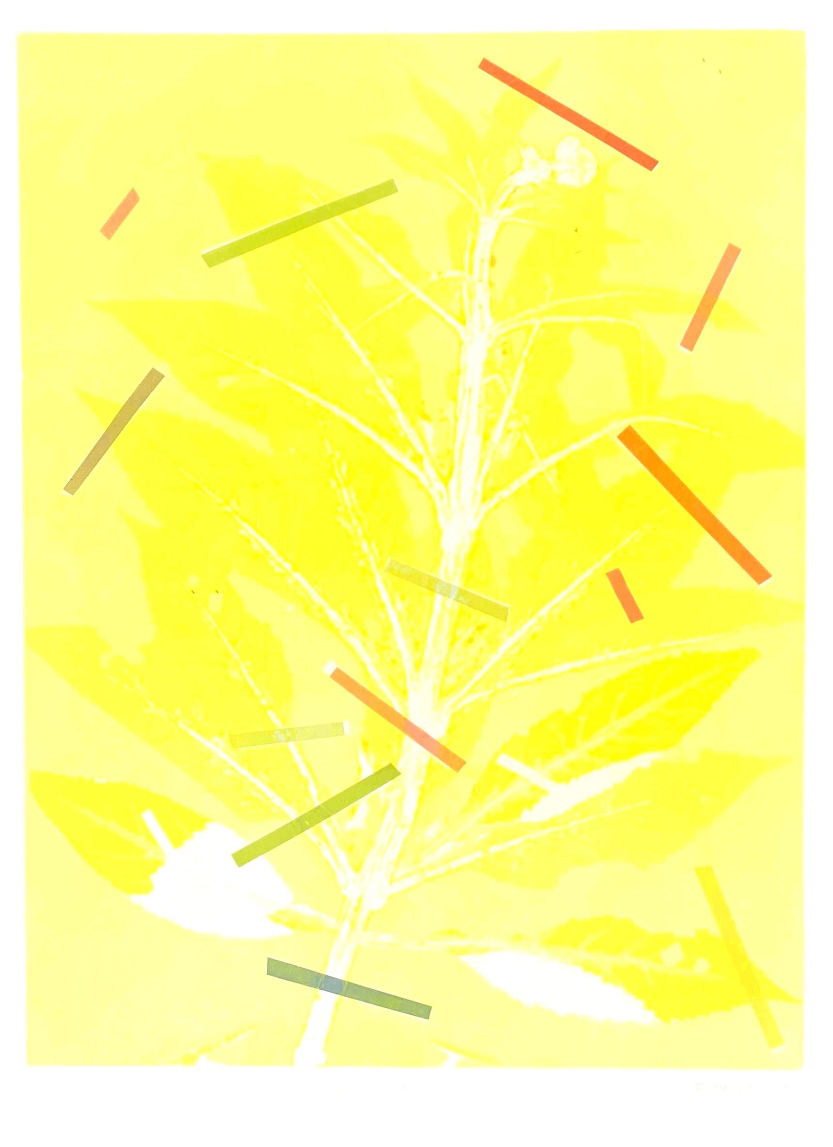 Medium Impresiones abstractas