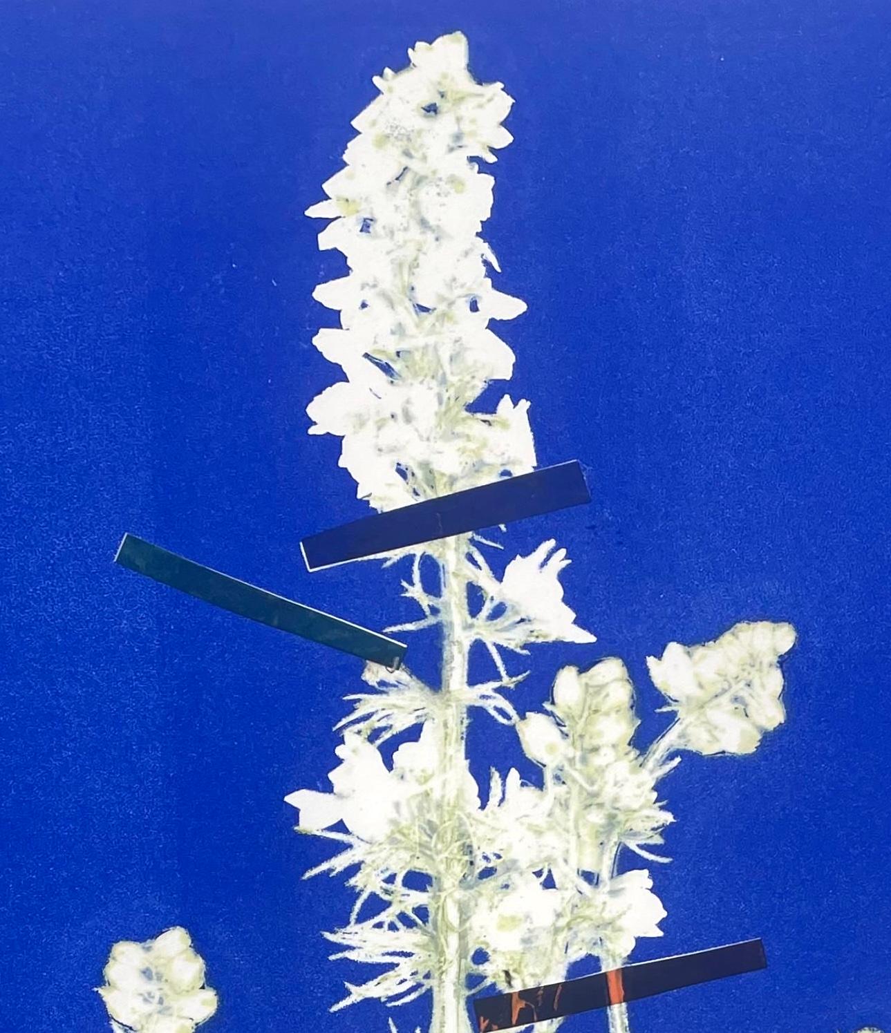 Larkspur Blue: framed one-of-a kind ink botanical monoprint, abstract flower - Print by Deirdre Murphy