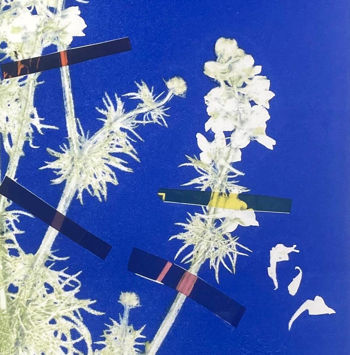 Larkspur Blue: framed one-of-a kind ink botanical monoprint, abstract flower - Abstract Print by Deirdre Murphy