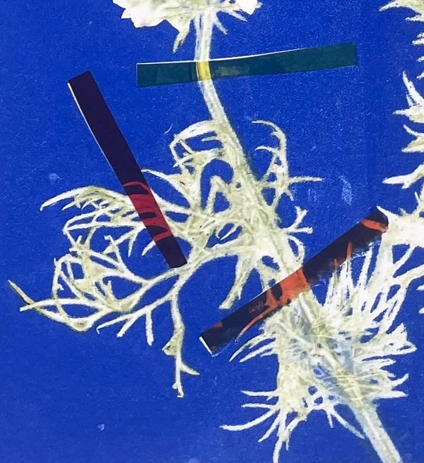 This is a framed, one-of-a-kind monoprint in colbalt blue on archival paper from Deirdre Murphy's 