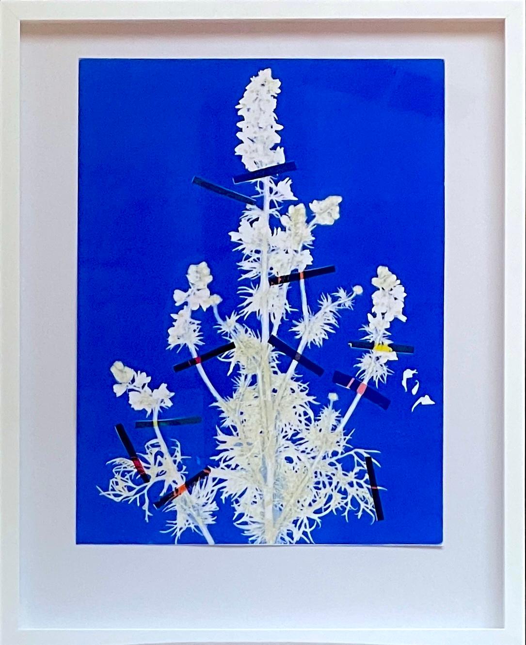 Larkspur Blue: framed one-of-a kind ink botanical monoprint, abstract flower For Sale 1
