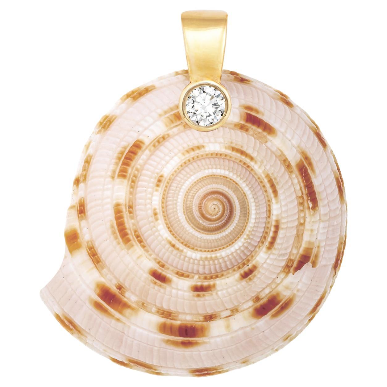 Colgante de Concha Del Sol con Diamante Natural en venta