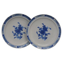 Delft - Pair of blue and white Delftware plates with roses - 18th century
