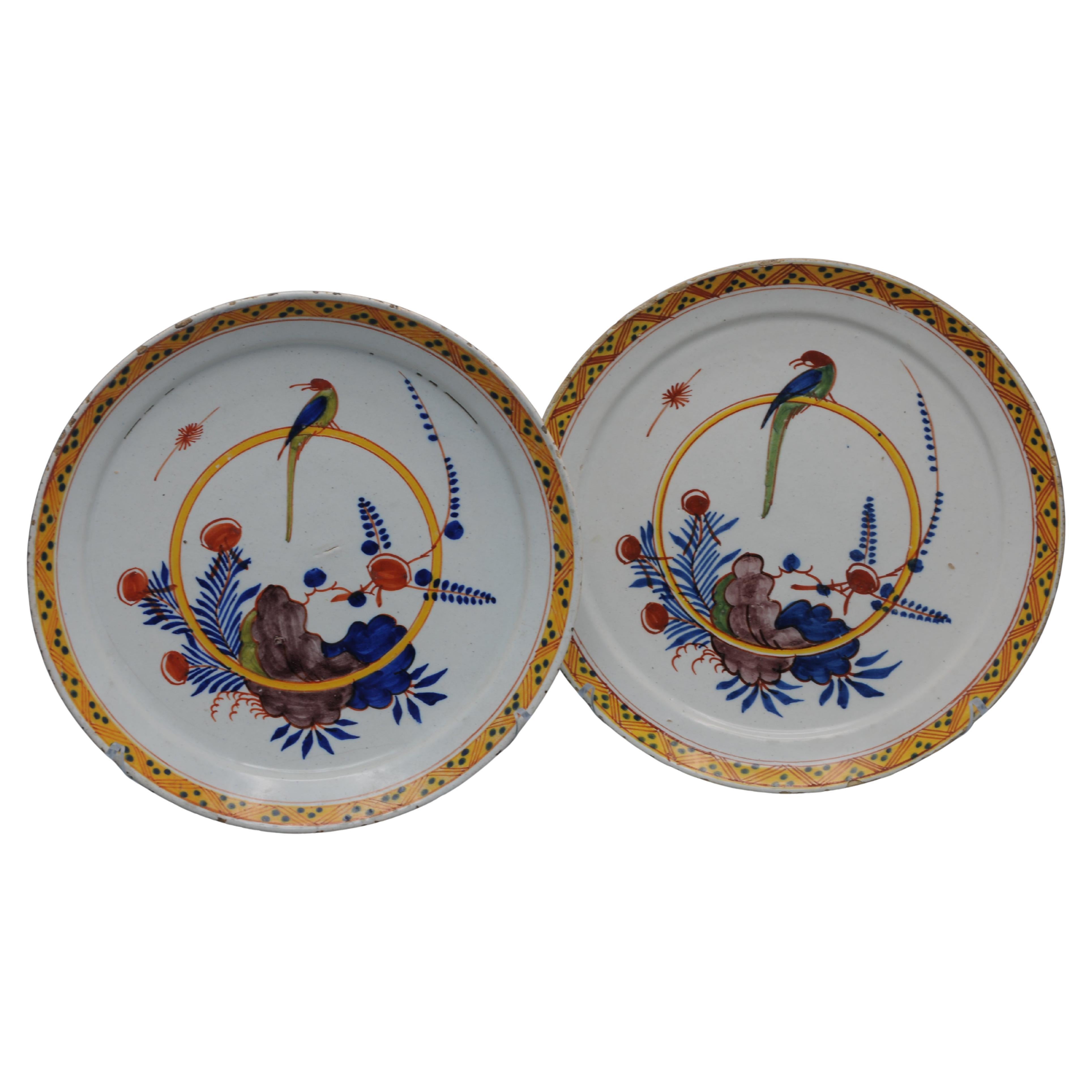 Delftware - Pair of plates with a Parrot, mid 18th century