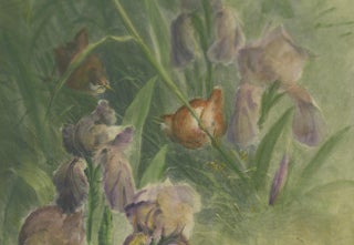 Delicate Irises with Birds - Old Giacomelli Botanical and Ornithological Print, view 3