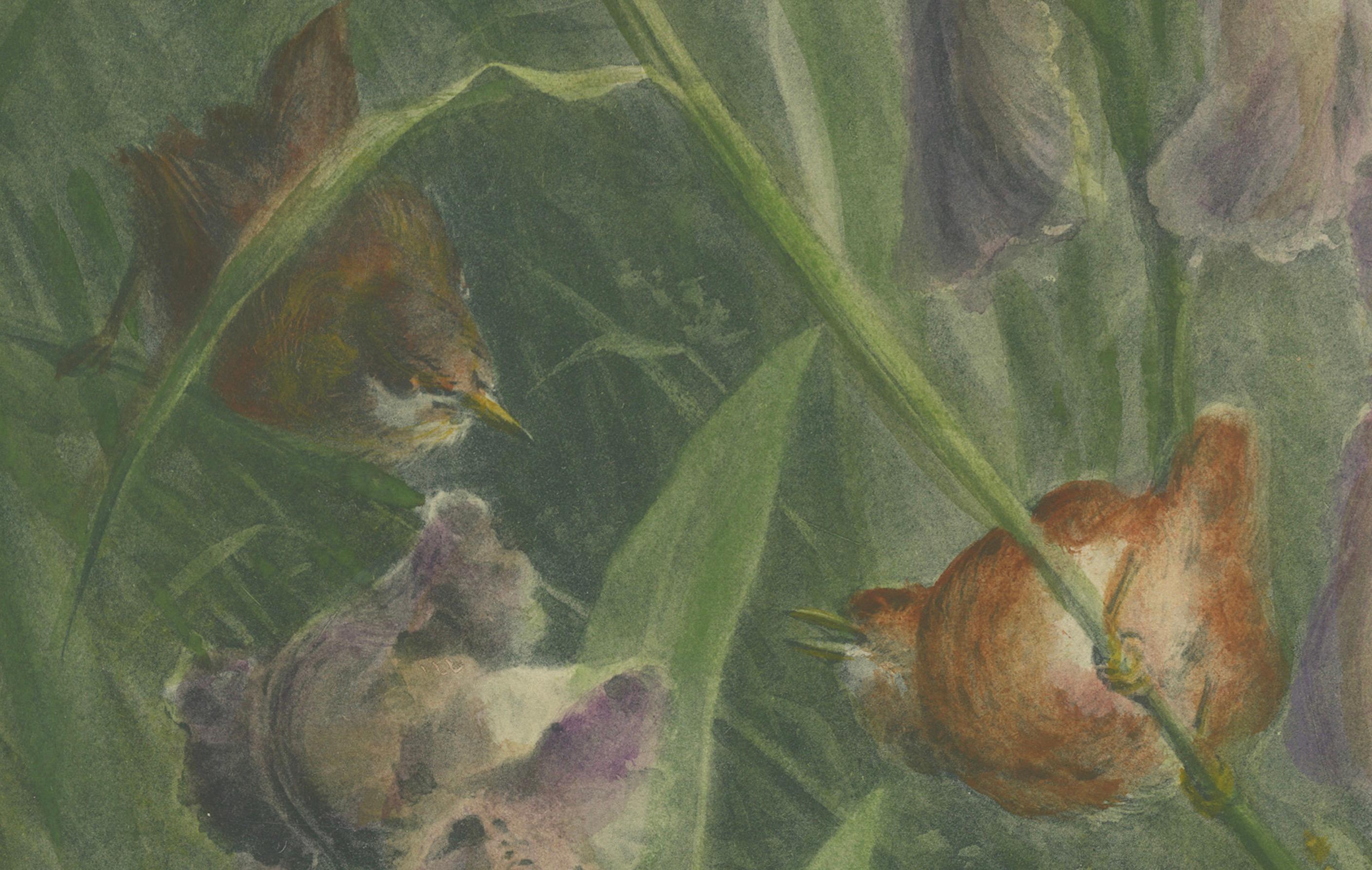 Late 19th Century Delicate Irises with Birds - Old Giacomelli Botanical and Ornithological Print For Sale