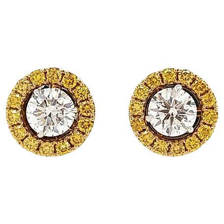 GIA-zertifizierte Ohrringe aus 18 Karat Gold mit runden weißen und gelben Diamanten im Brillantschliff