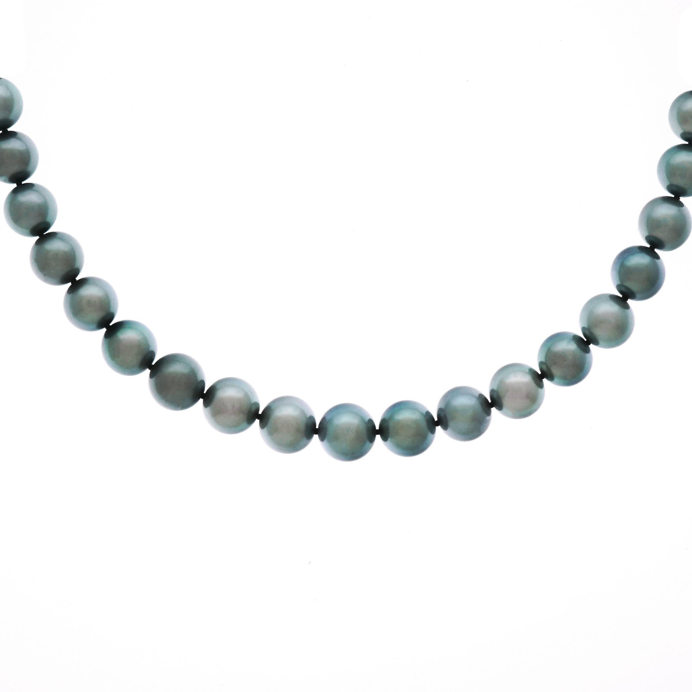 Delicately Colored South Sea Pearl Necklace with Gold Catch 3