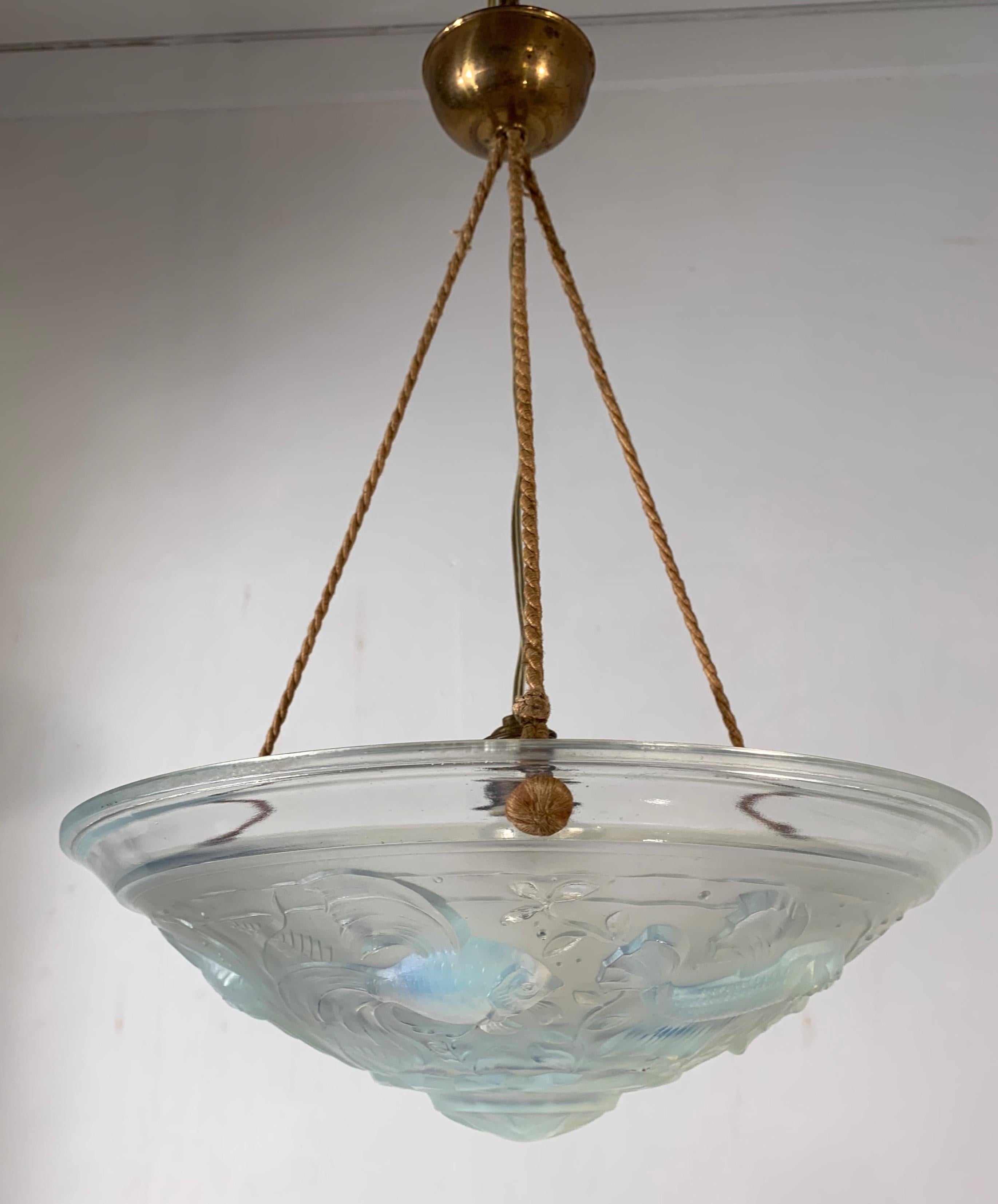 fish with a hanging light