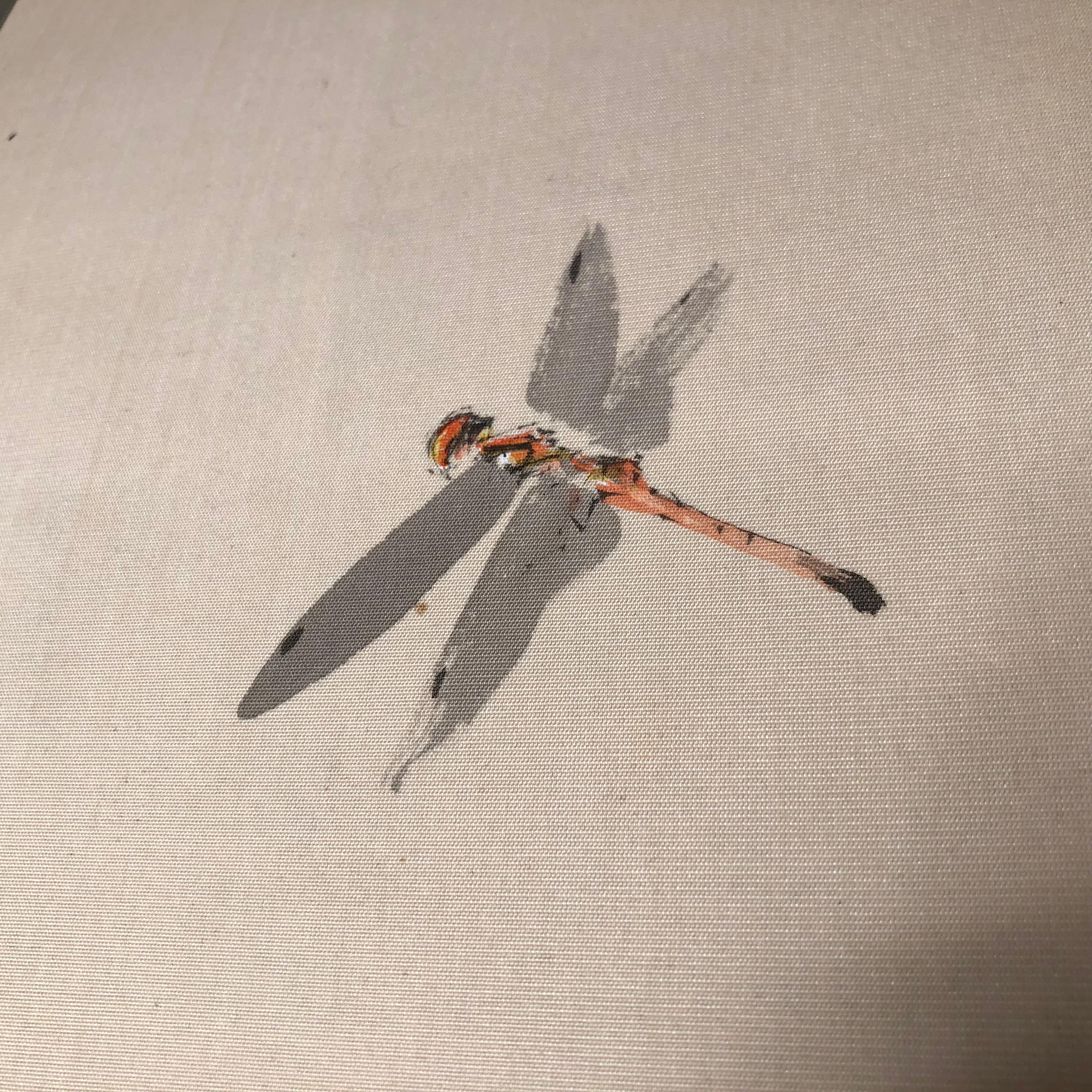 A rare motif and find.

A very fine and delicate Japanese antique hand-painted silk scroll of a dragonfly, Meiji period, 19th century.

Hand painting in lively colors with great details.

Old bone rollers. Original tomobako collector and