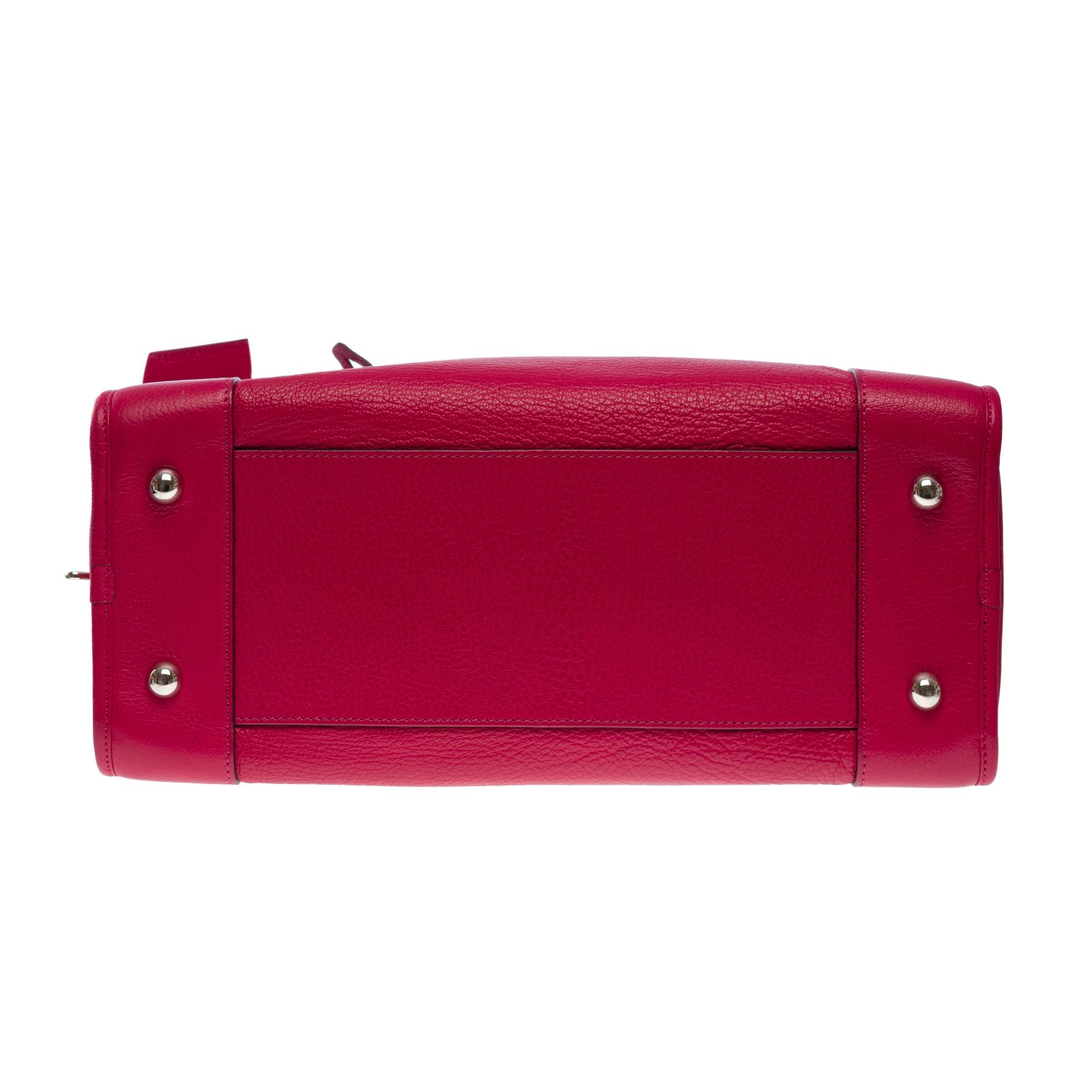 Delightful Loewe Amazona 36 (GM) handbag in red leather, SHW For Sale 6