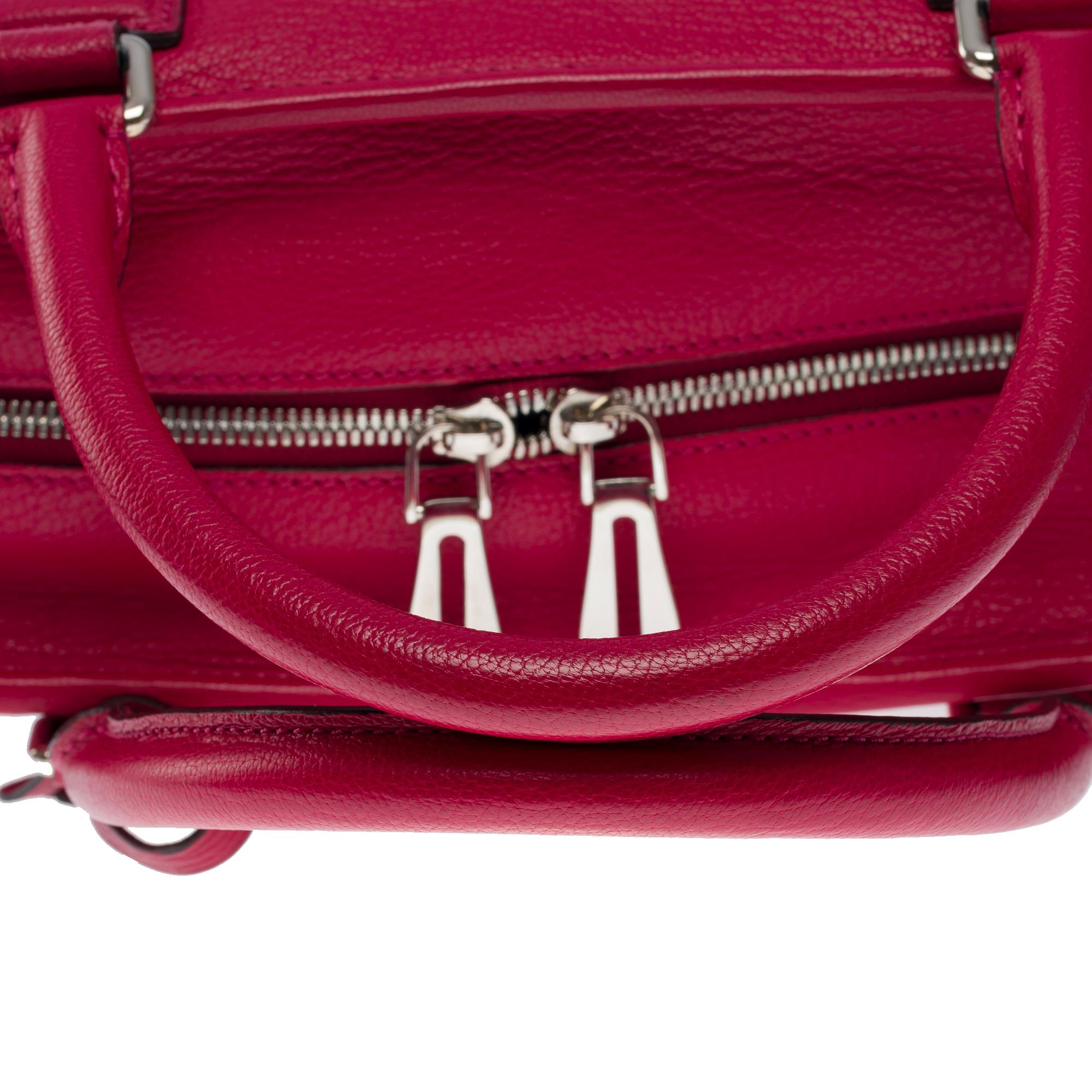 Delightful Loewe Amazona 36 (GM) handbag in red leather, SHW For Sale 5