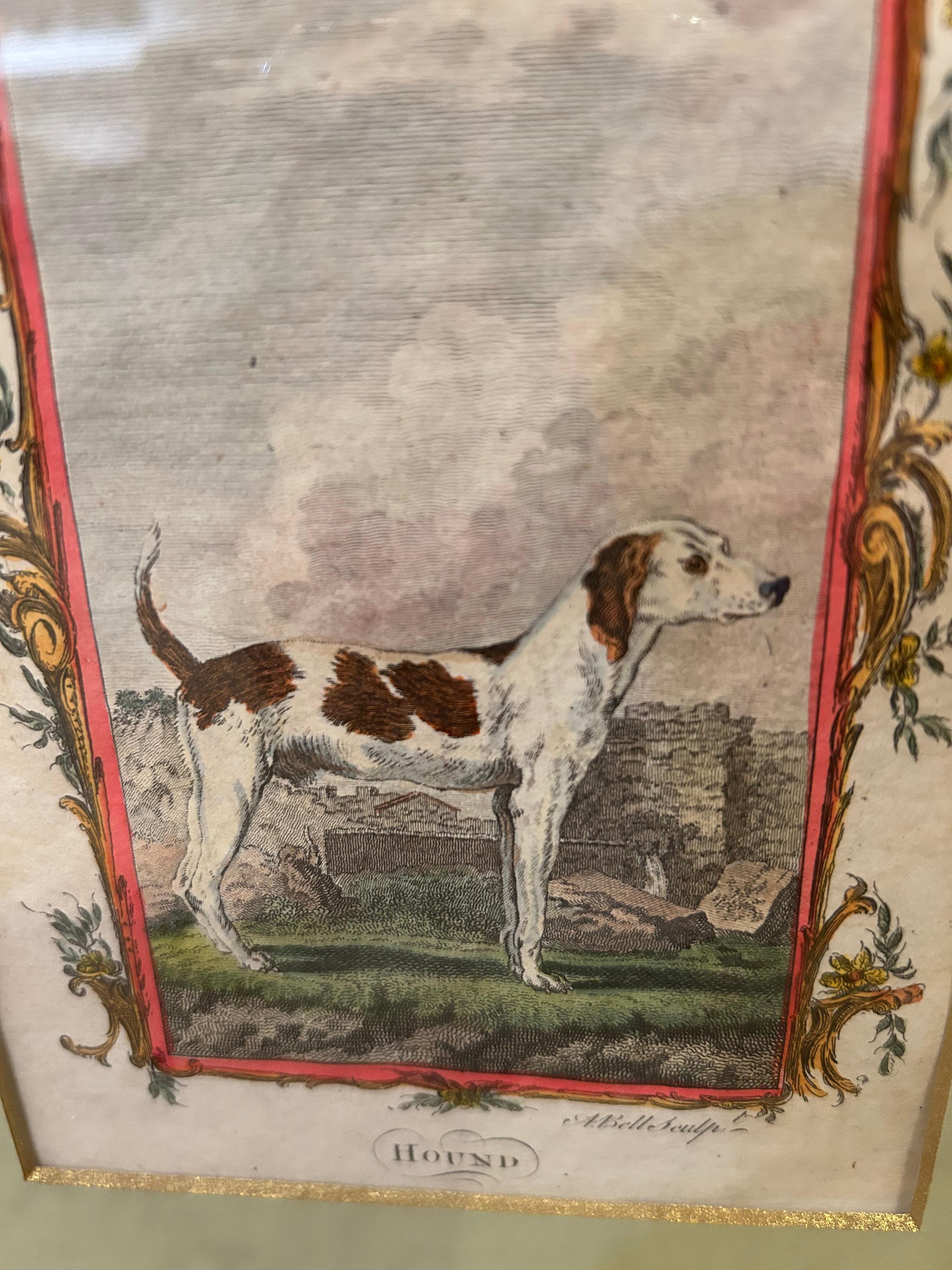 Encantadora pareja de grabados sobre perros del siglo XVIII bellamente enmarcados en Bueno estado para la venta en Hopewell, NJ
