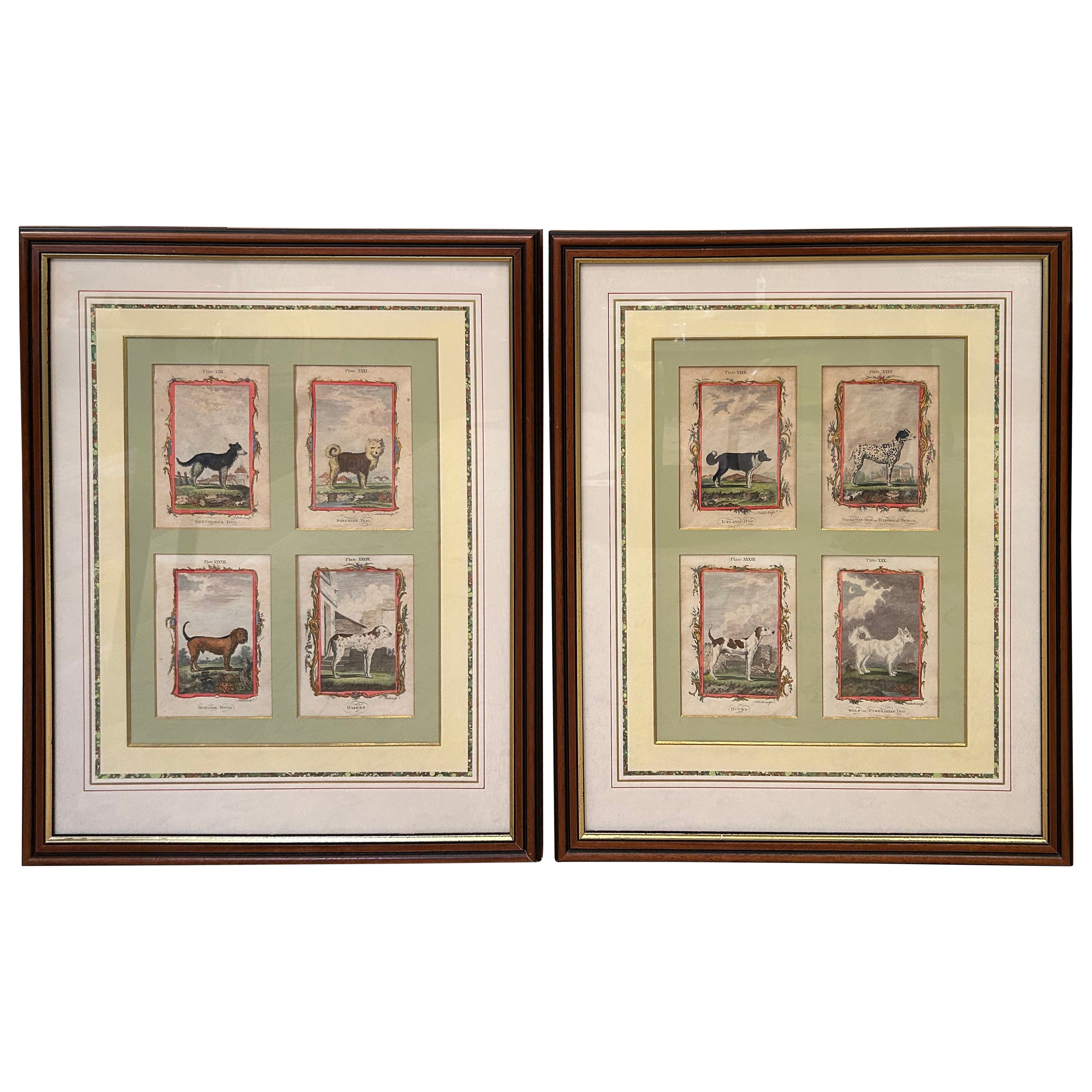 Delightful Pair of Beautifully Framed 18th Century Dog Engravings