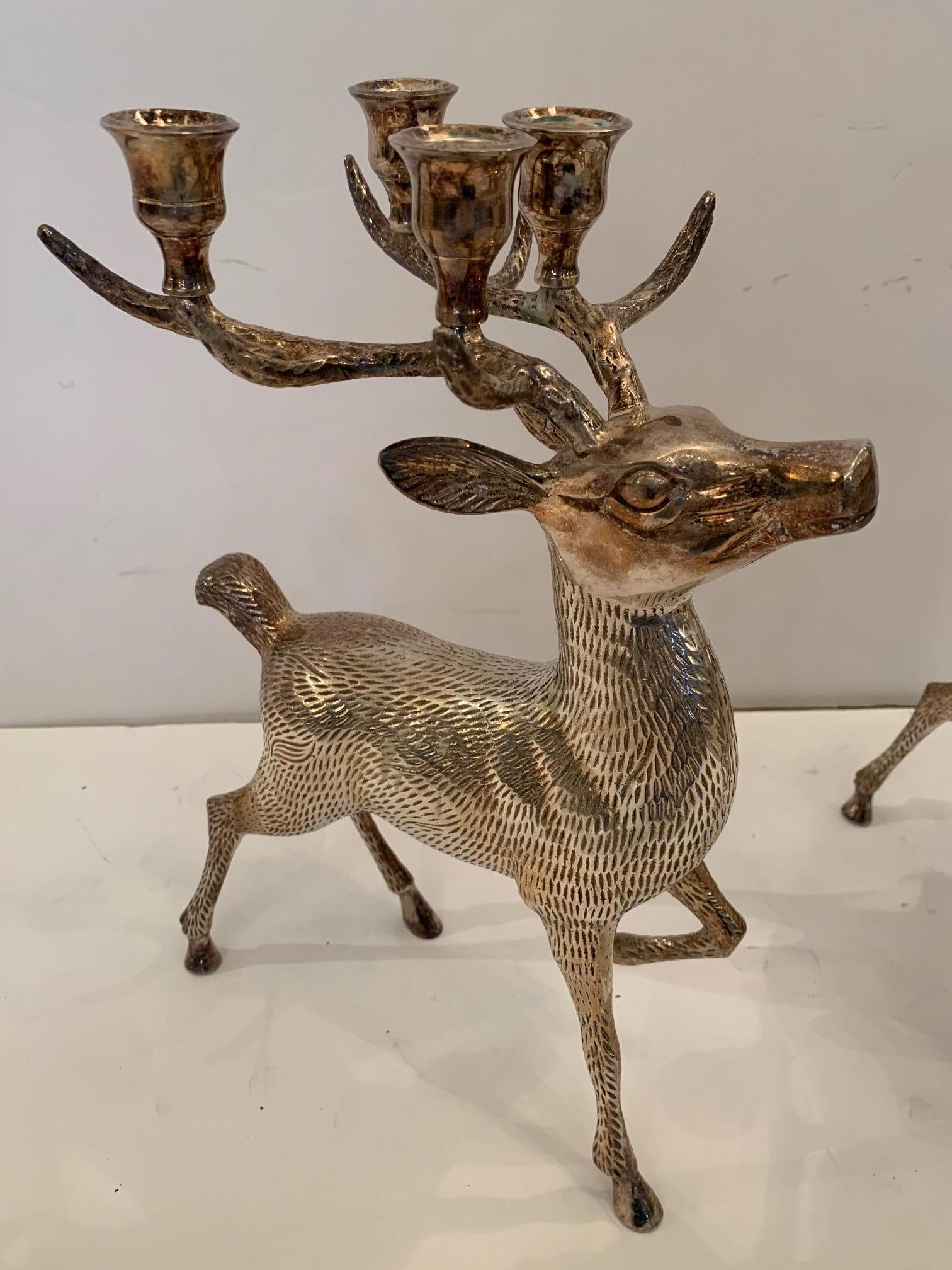 Pair of silver plated brass stag deer candleholders having beautiful detailing and antlers. Each deer holds four candles.
 