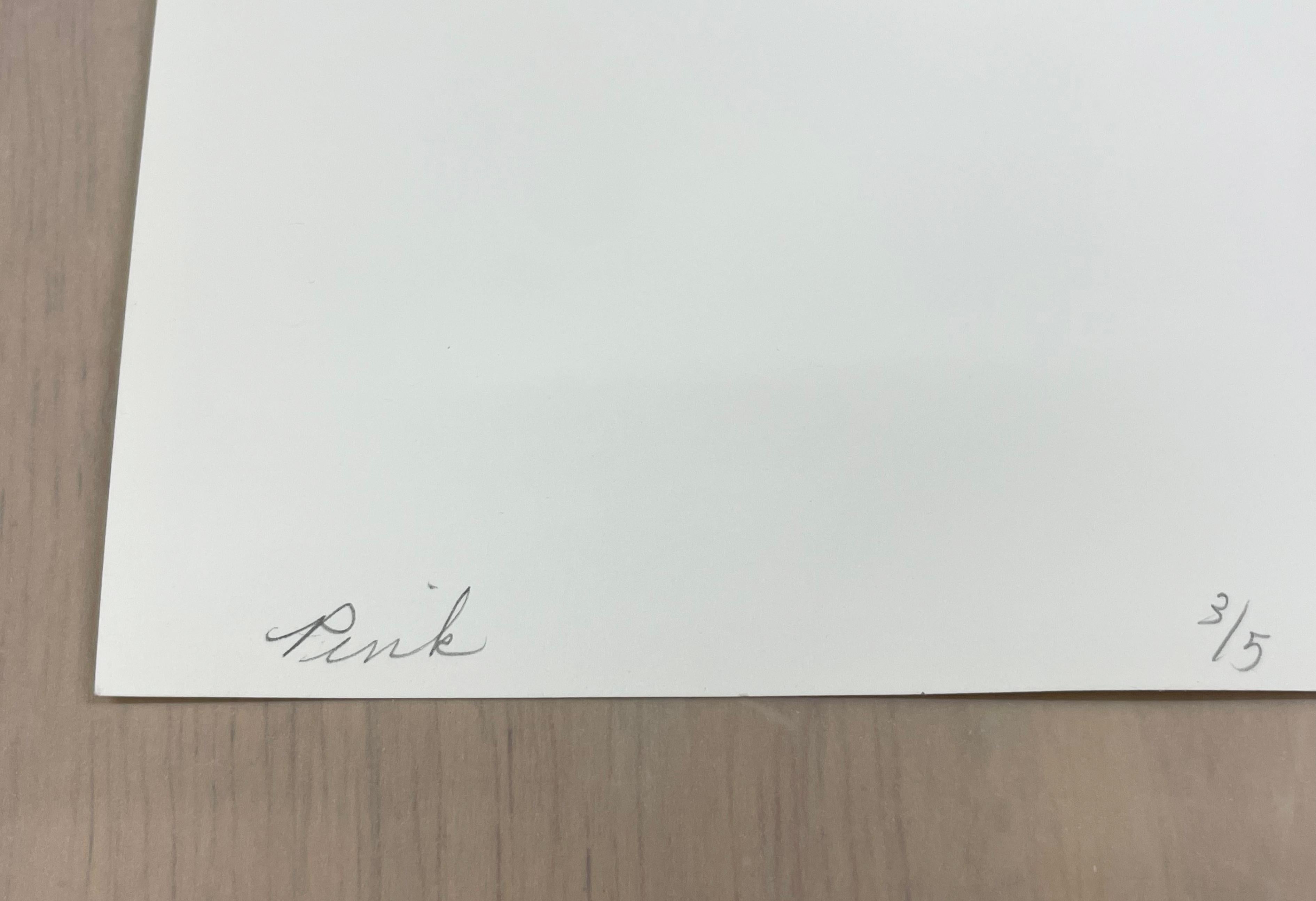 Rosa – Vintage-Schwarz-Weiß-Fotografie in limitierter Auflage, Frau als Künstlerin, Boxer im Angebot 1