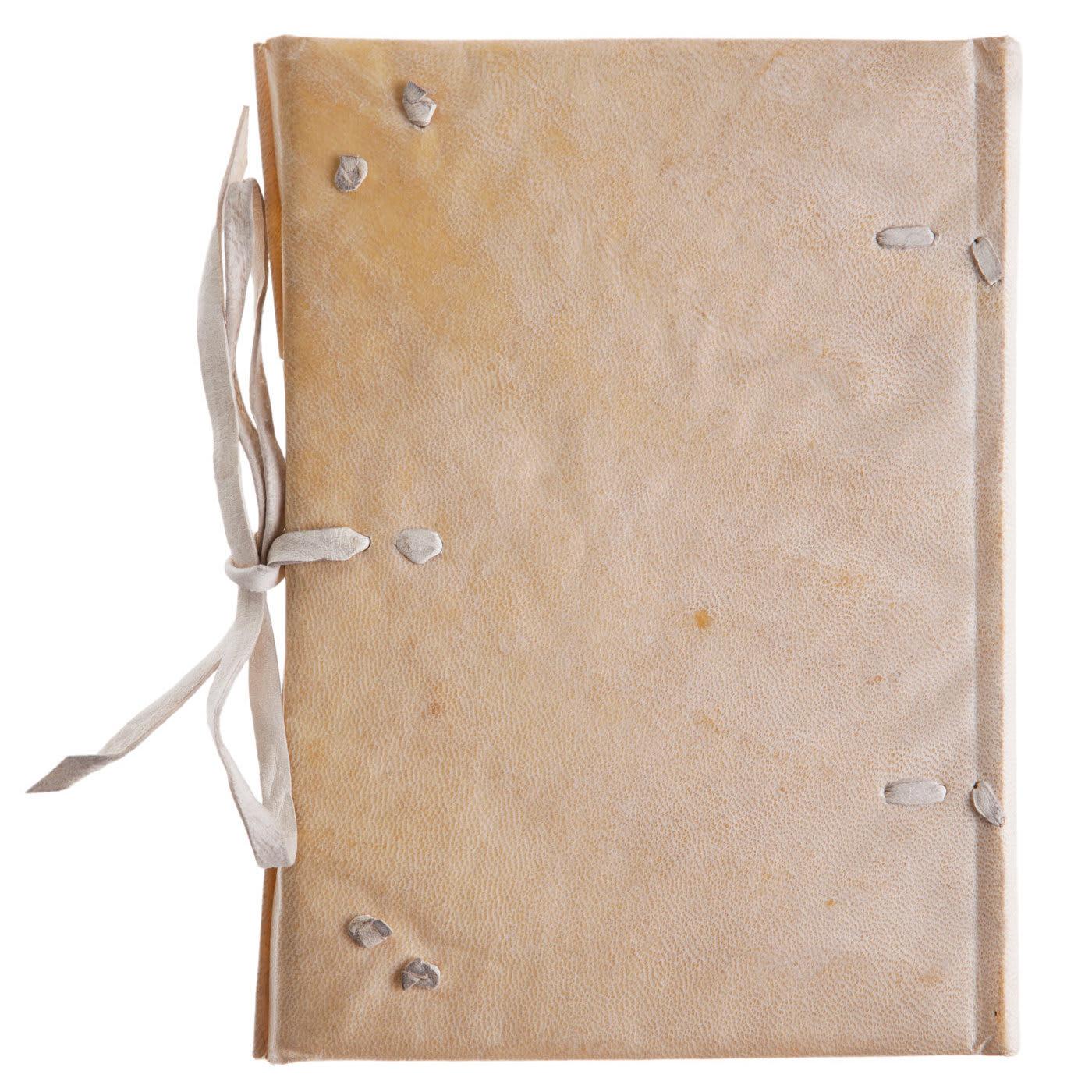 Delizia Leather Book In New Condition For Sale In Milan, IT