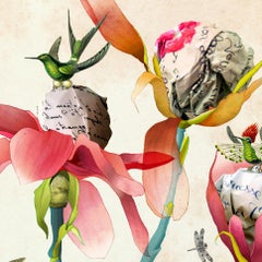 Magnolias