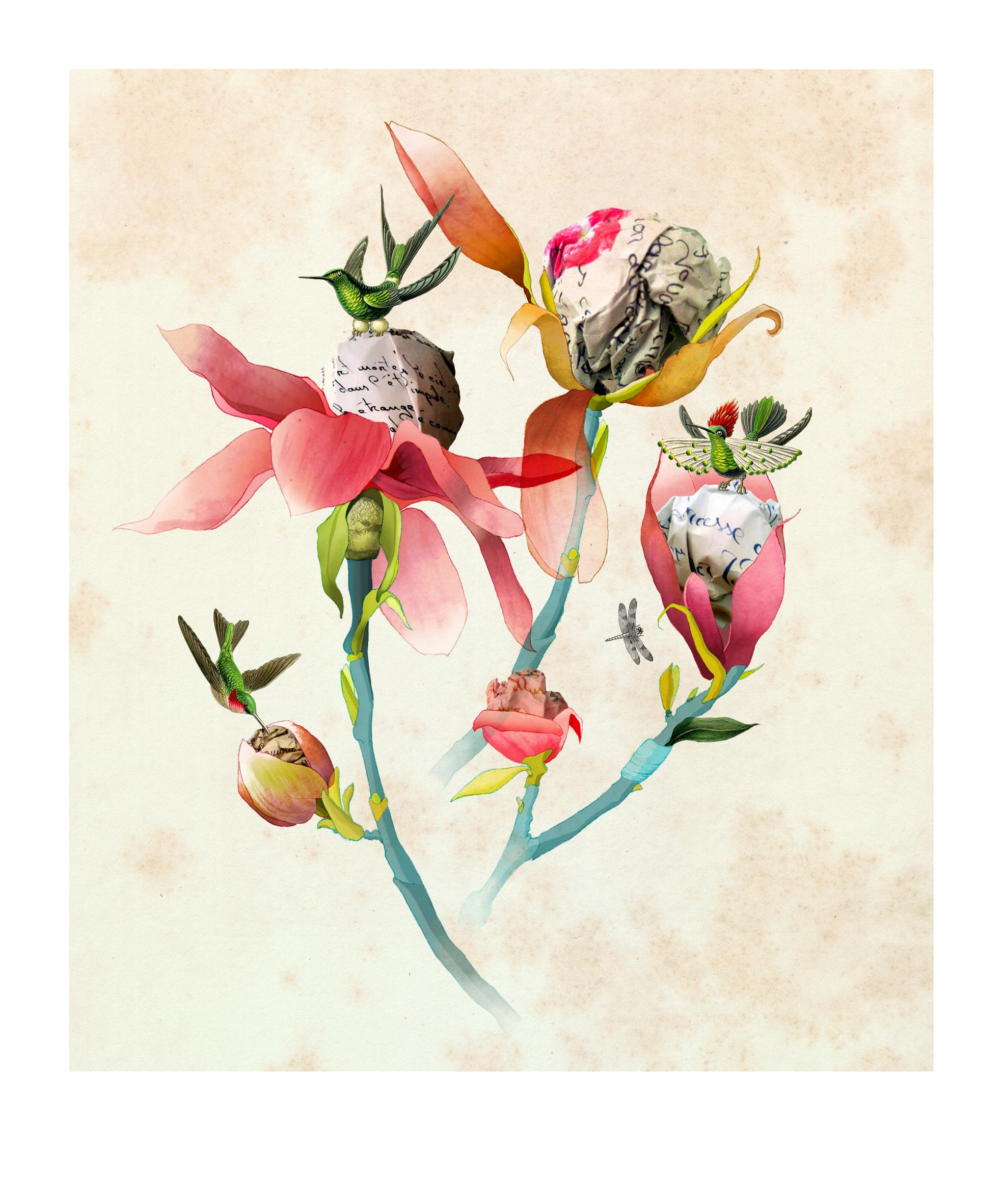 Delphine Lebourgeois Figurative Print - Magnolias
