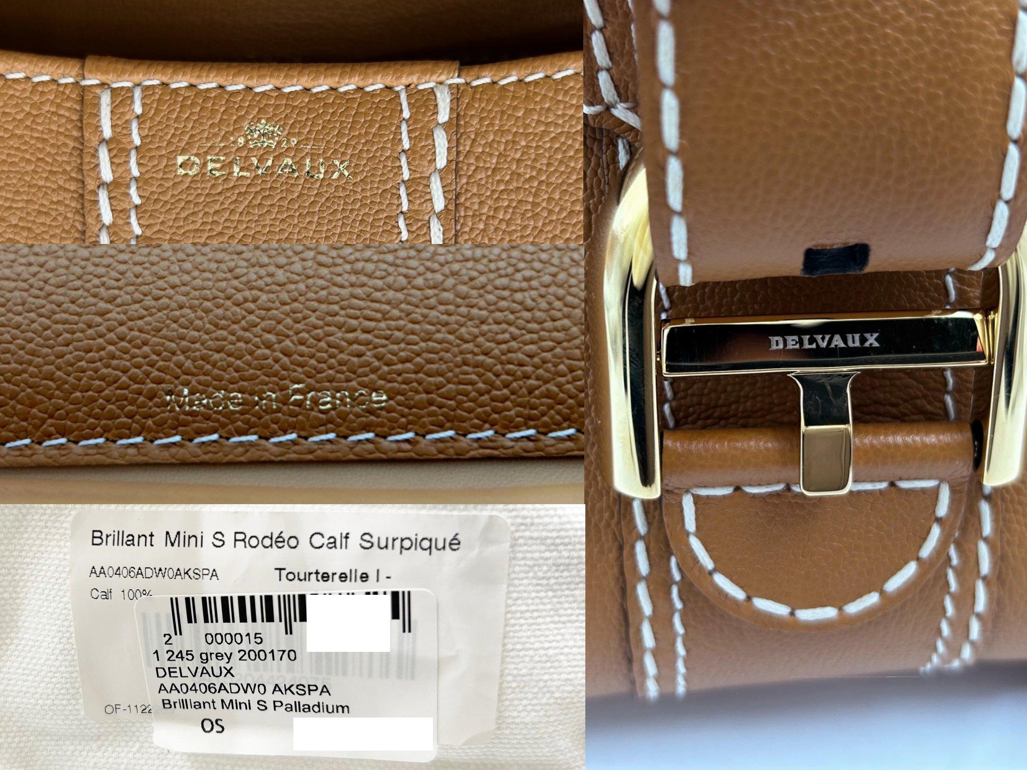 Delvaux Brand New Brilliant Surpique Mini Crossbody Tasche im Angebot 2