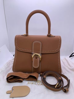 Delvaux Brillant 2Way Handbag Box Calfskin Gold Hardware Medium