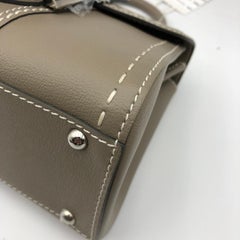 Delvaux Brillant Mini Surpique Tourterelle Grey Rodeo Calfskin Bag Silver