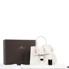 Delvaux Brillant MM Panamarenko Edition limitée