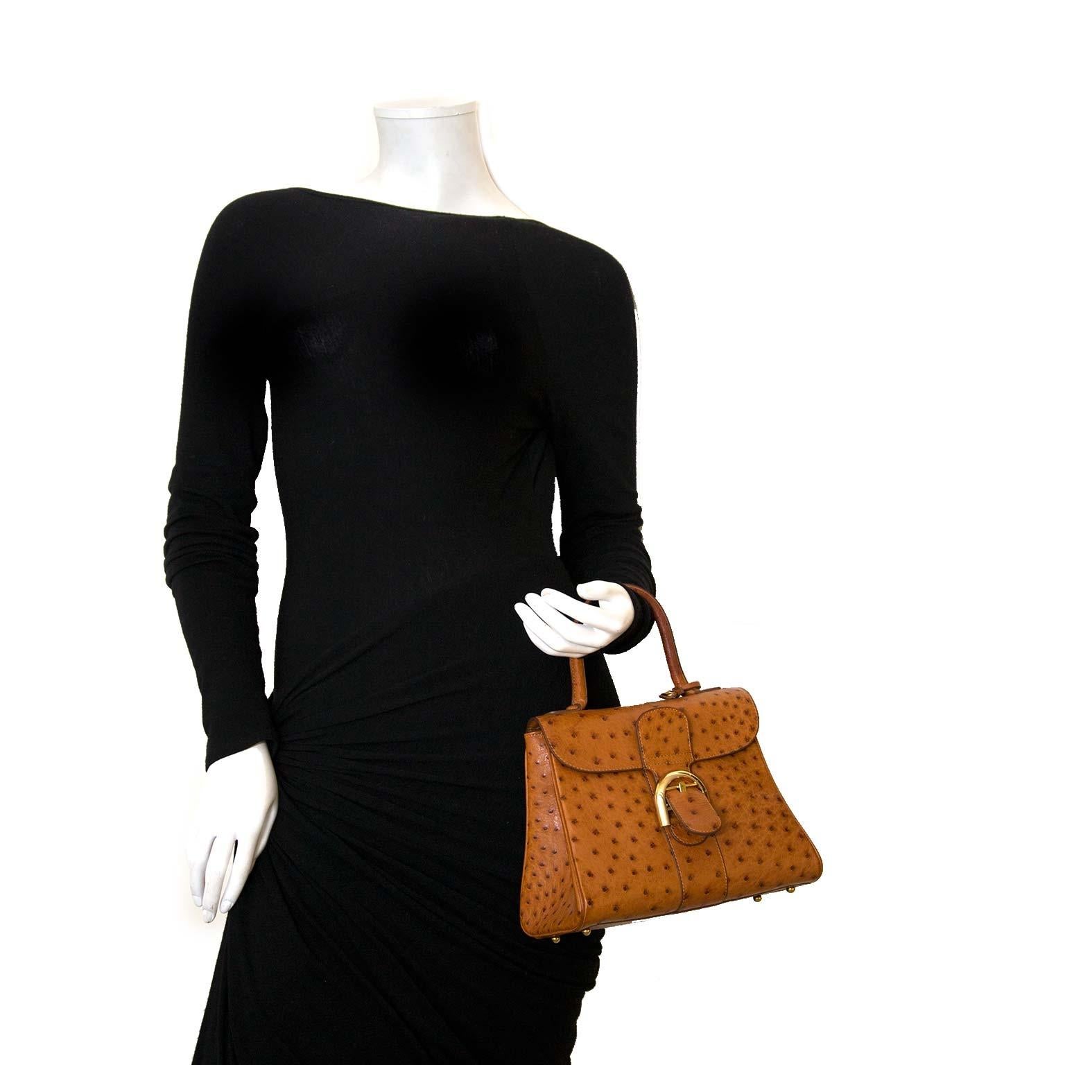 Very good condition

Delvaux Brillant PM Ostrich Brandy

This rare Delvaux Brillant bag is made from tabac coloured ostrich skin and features gold-tone details. The bag opens and closes with the iconic Delvaux Brillant closure and gives access to a