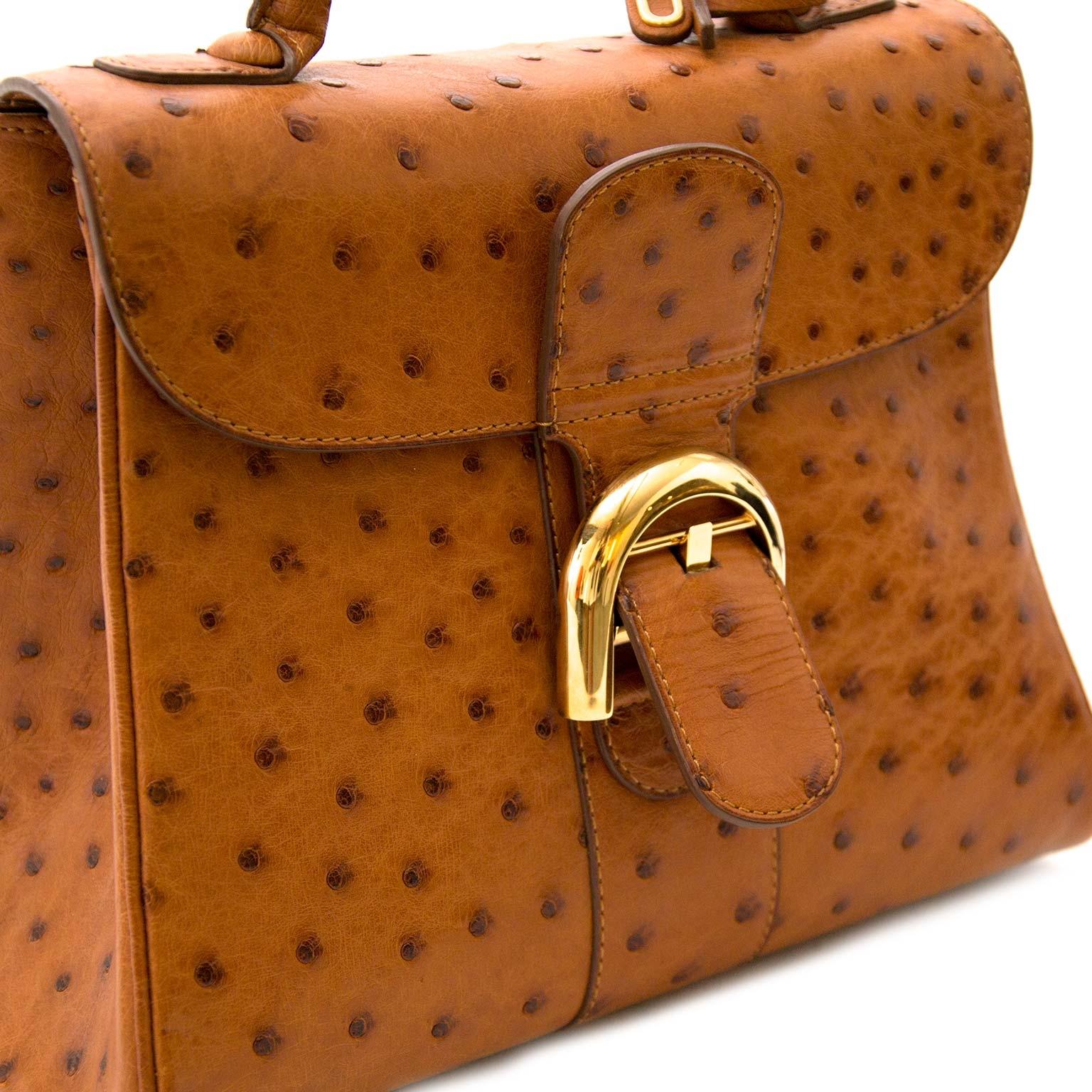 Brown Delvaux Brillant PM Ostrich Brandy