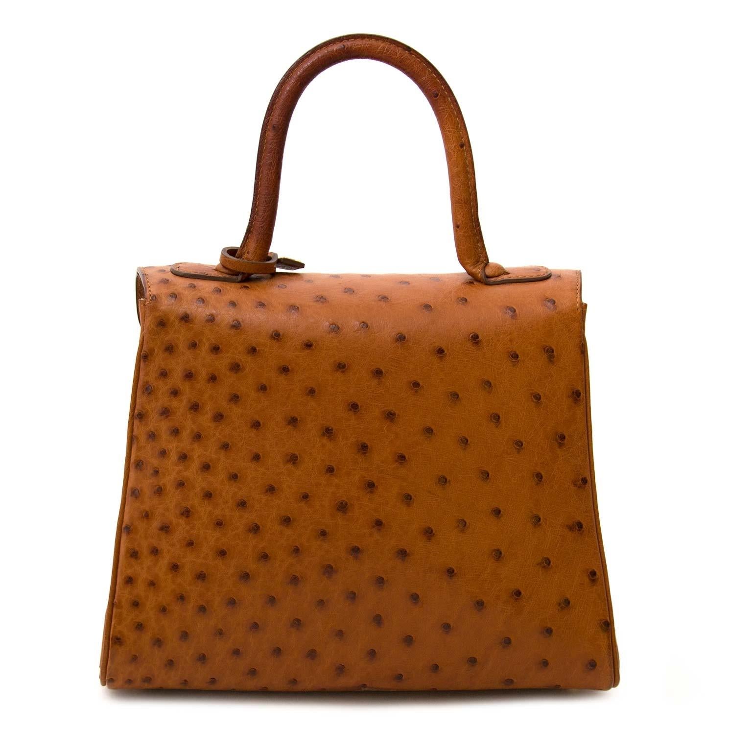 Delvaux Brillant PM Ostrich Brandy In Excellent Condition In Antwerp, BE